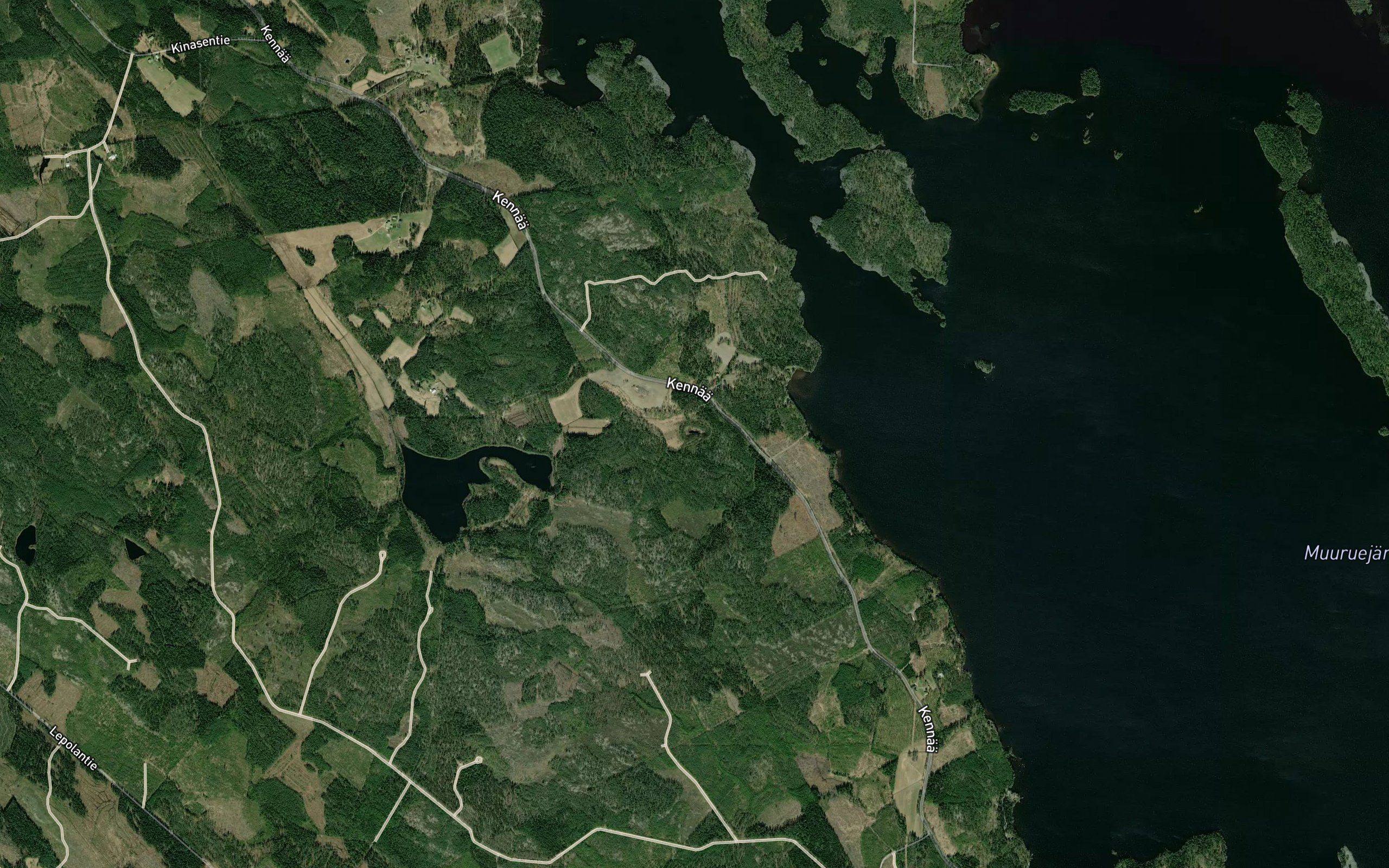 Harkalampi