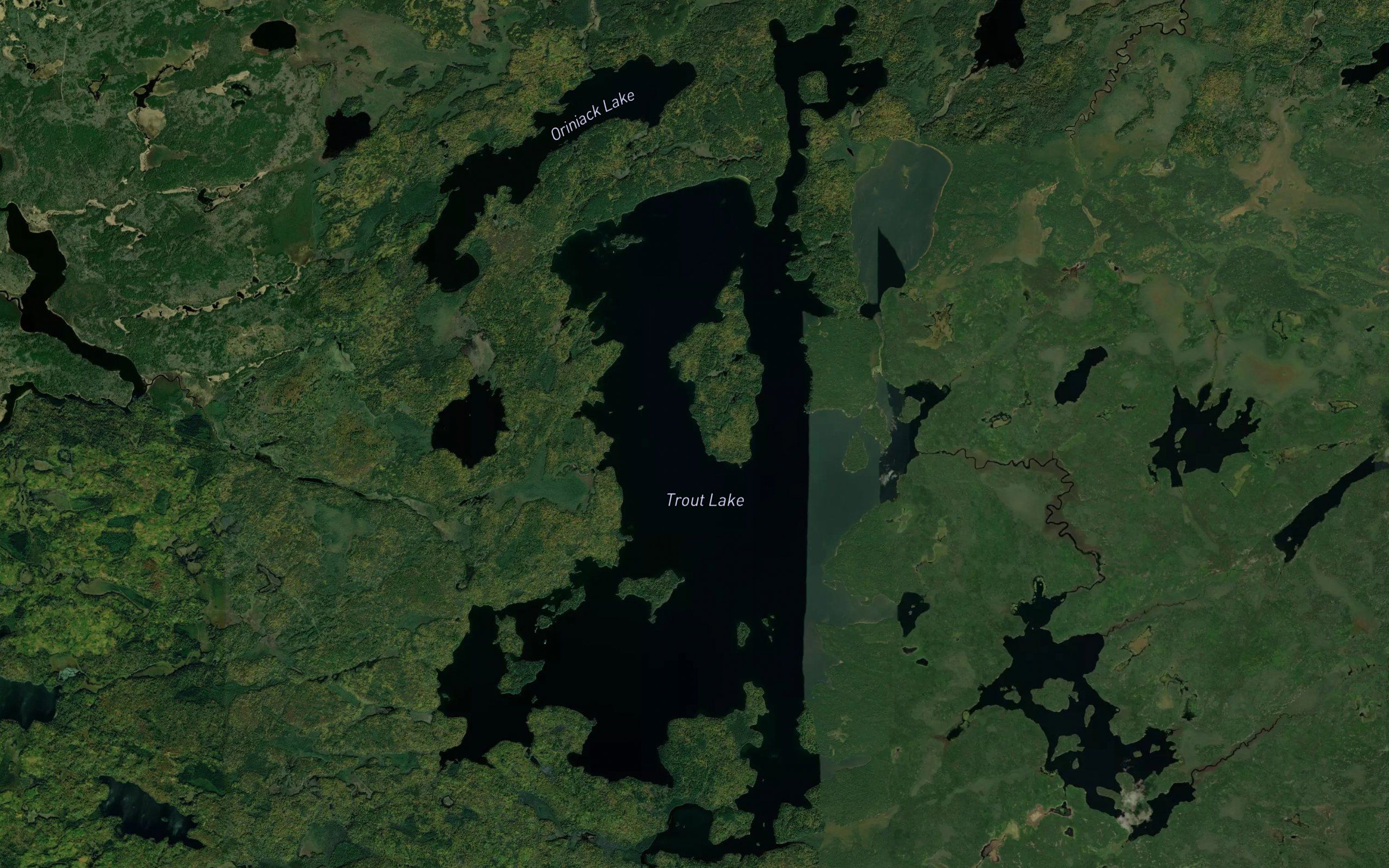 Trout Lake