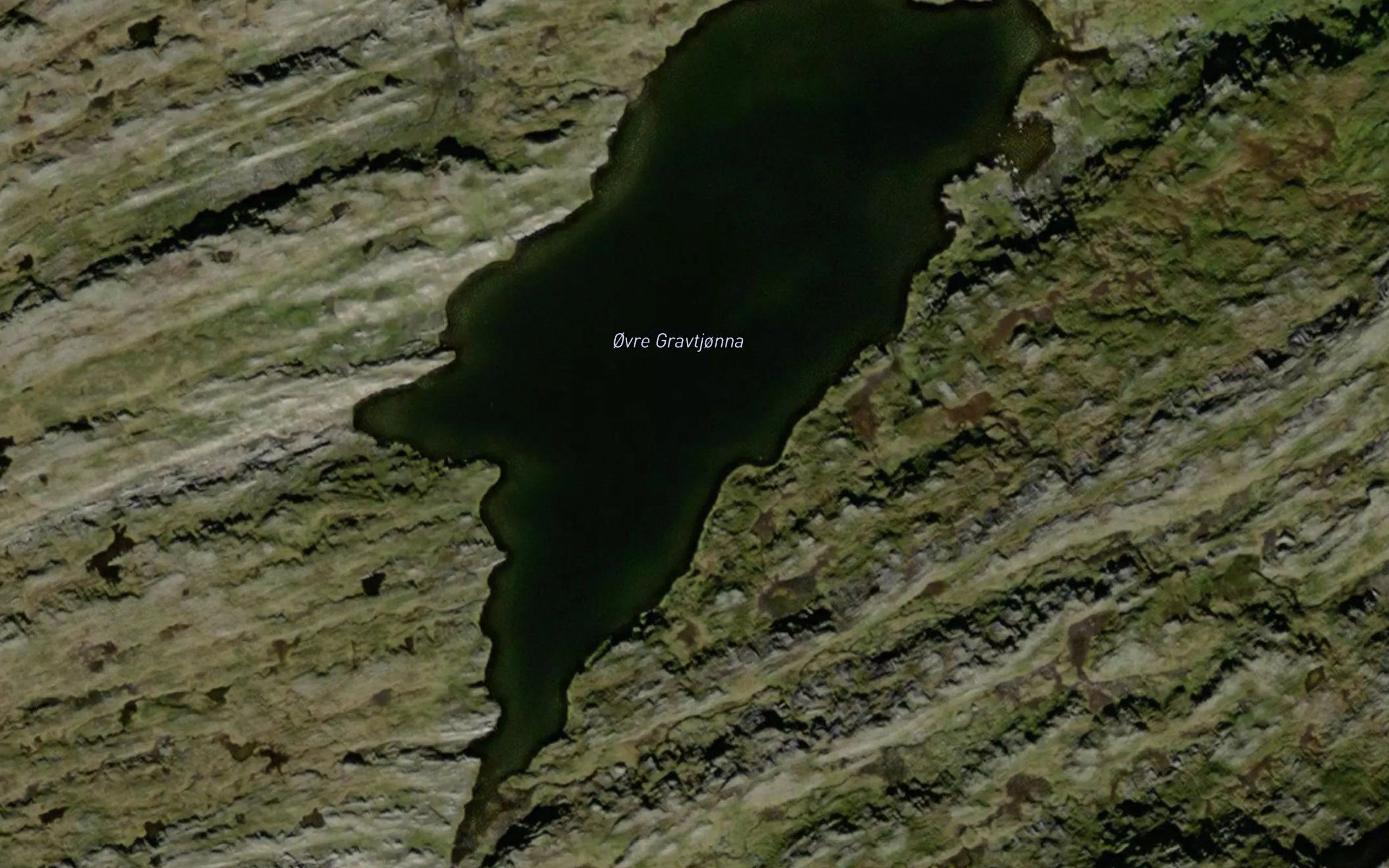 Gravtjern