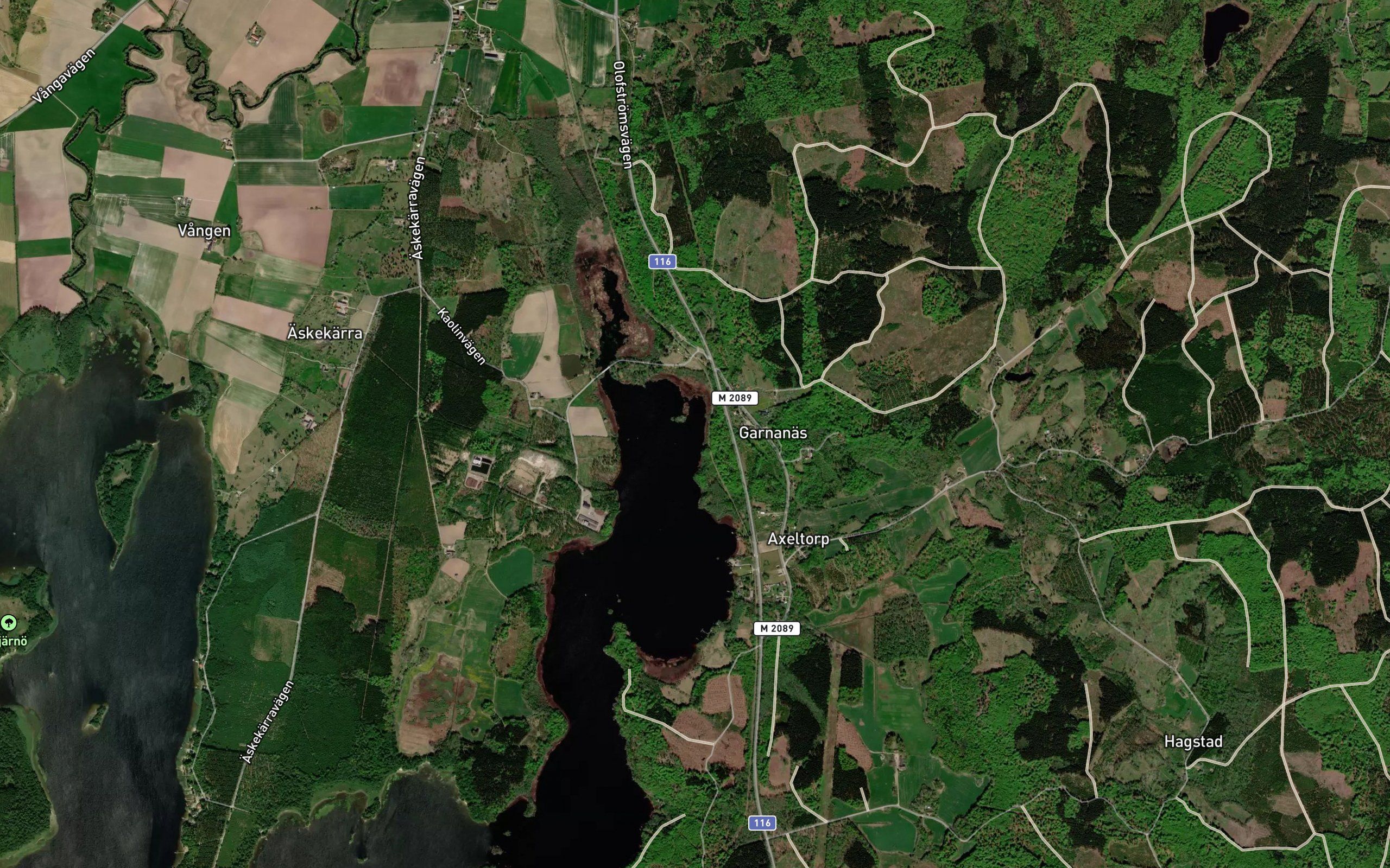 Ostrevik