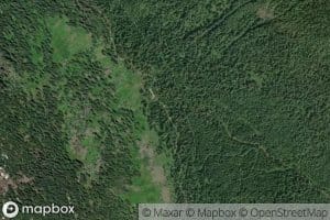 Cougar Creek