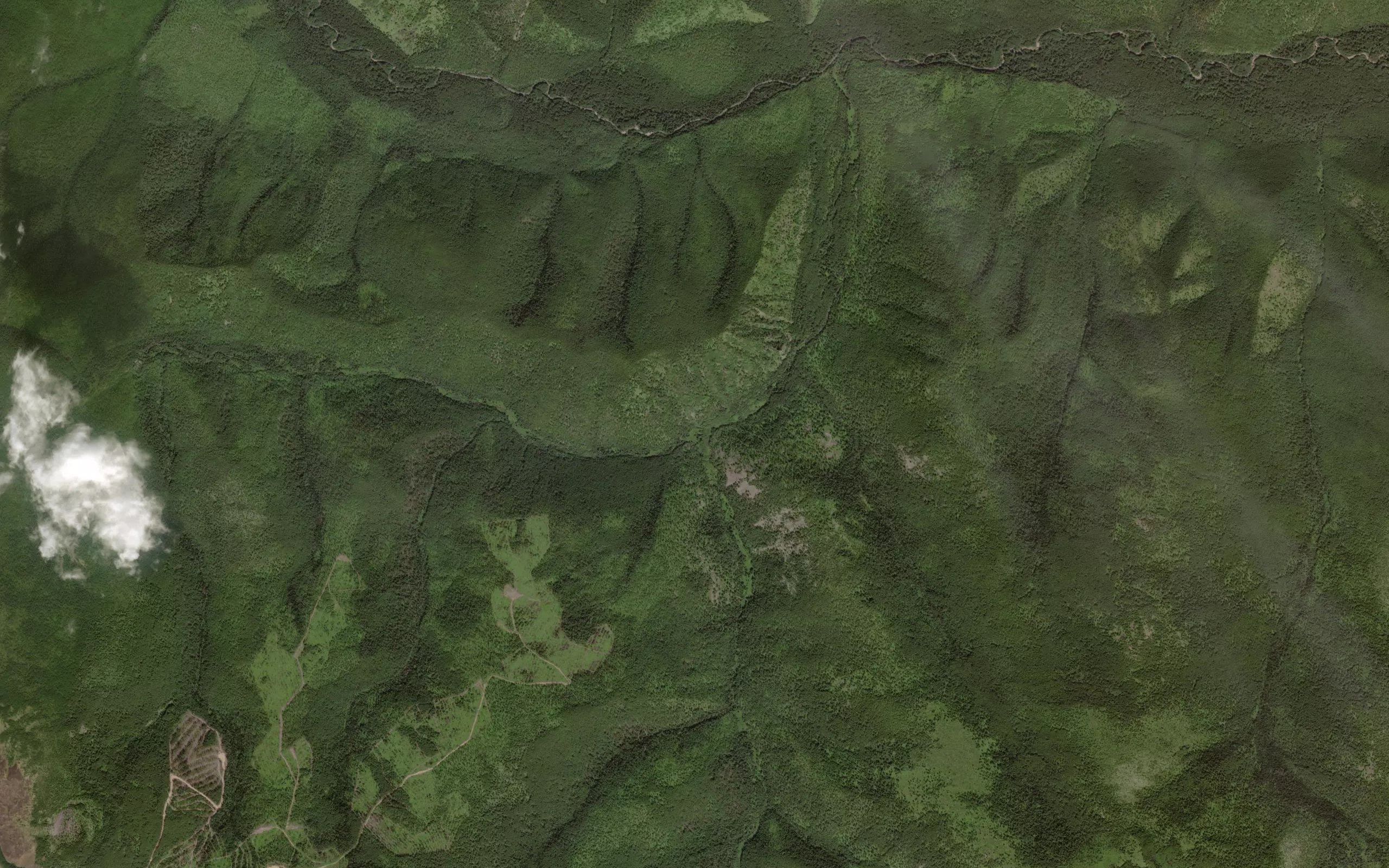 Krivoy