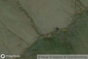 Mosquito Creek