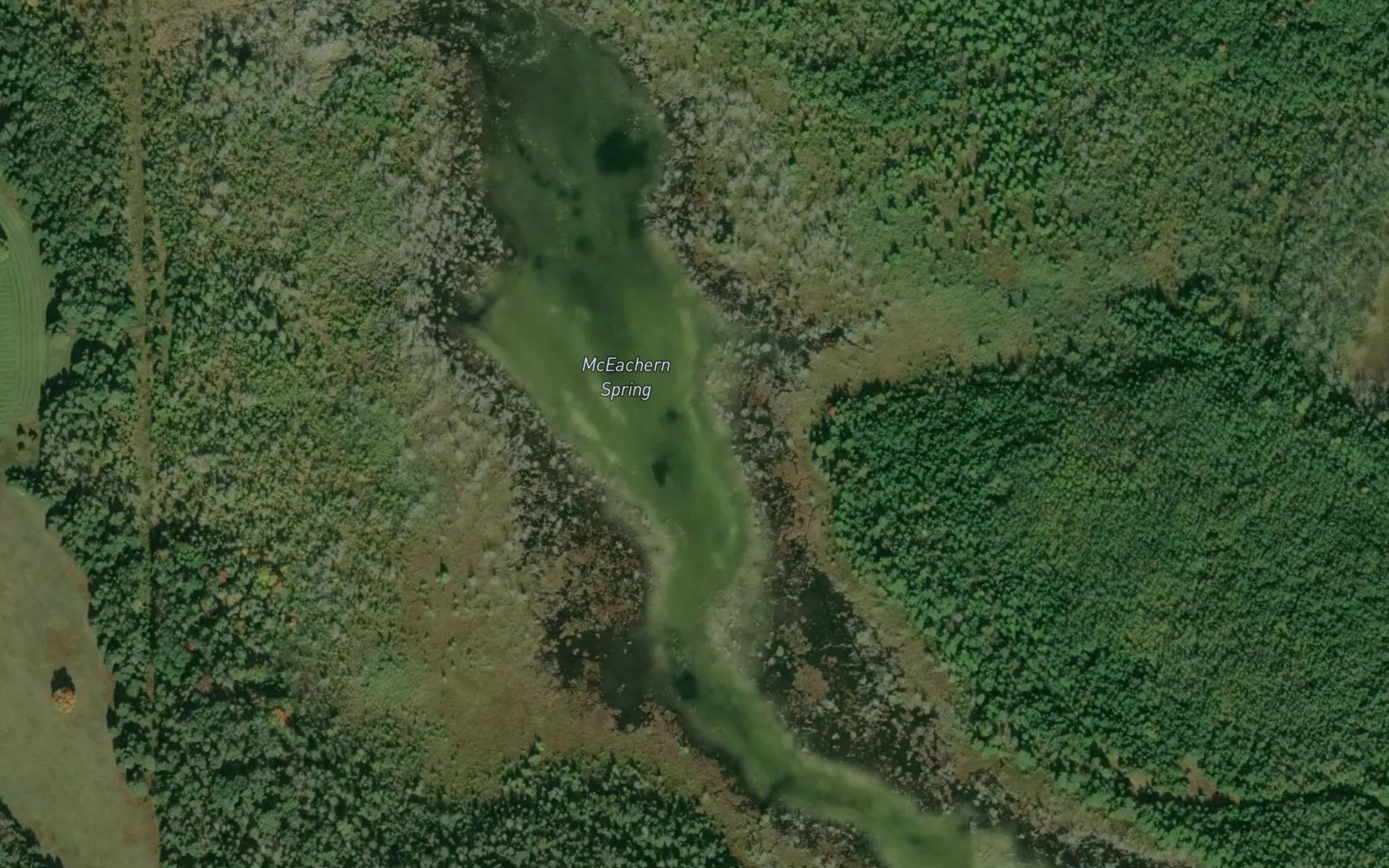 Satellite map of the McEachera Spring
