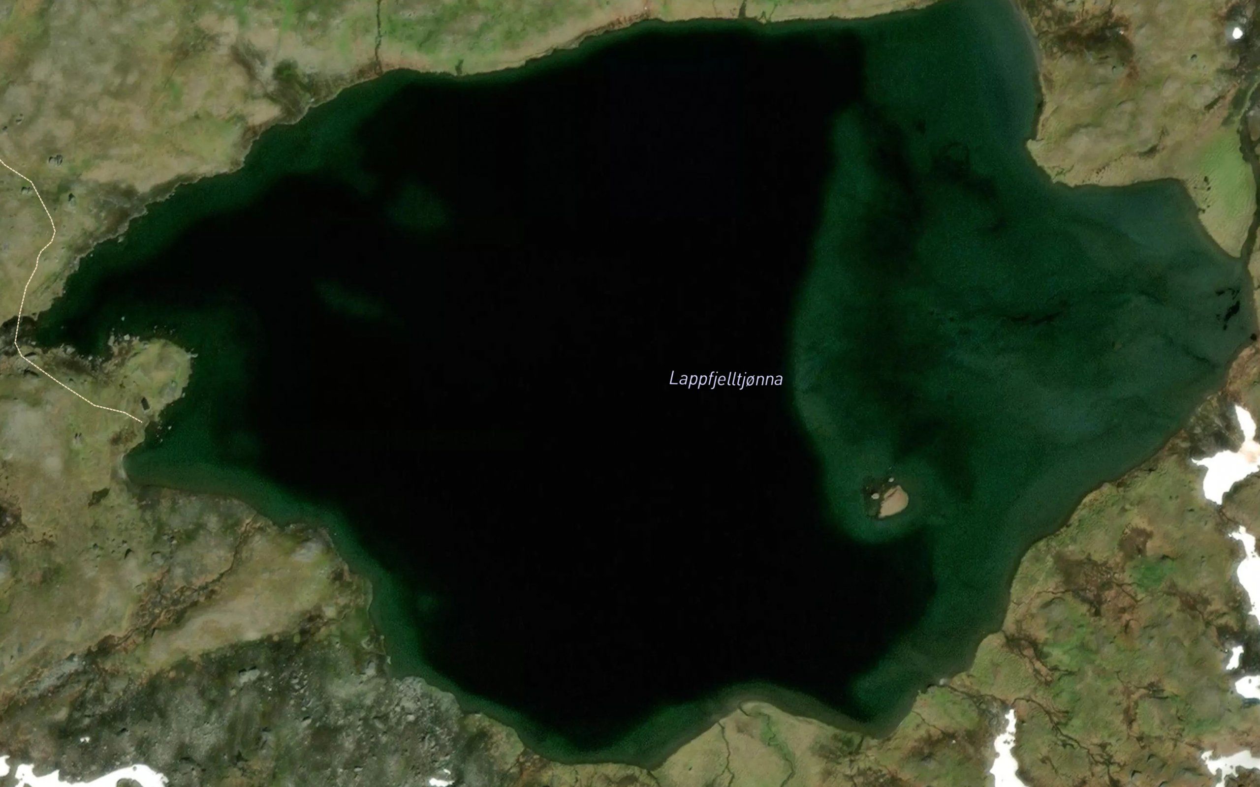 Lappfjelltjorna