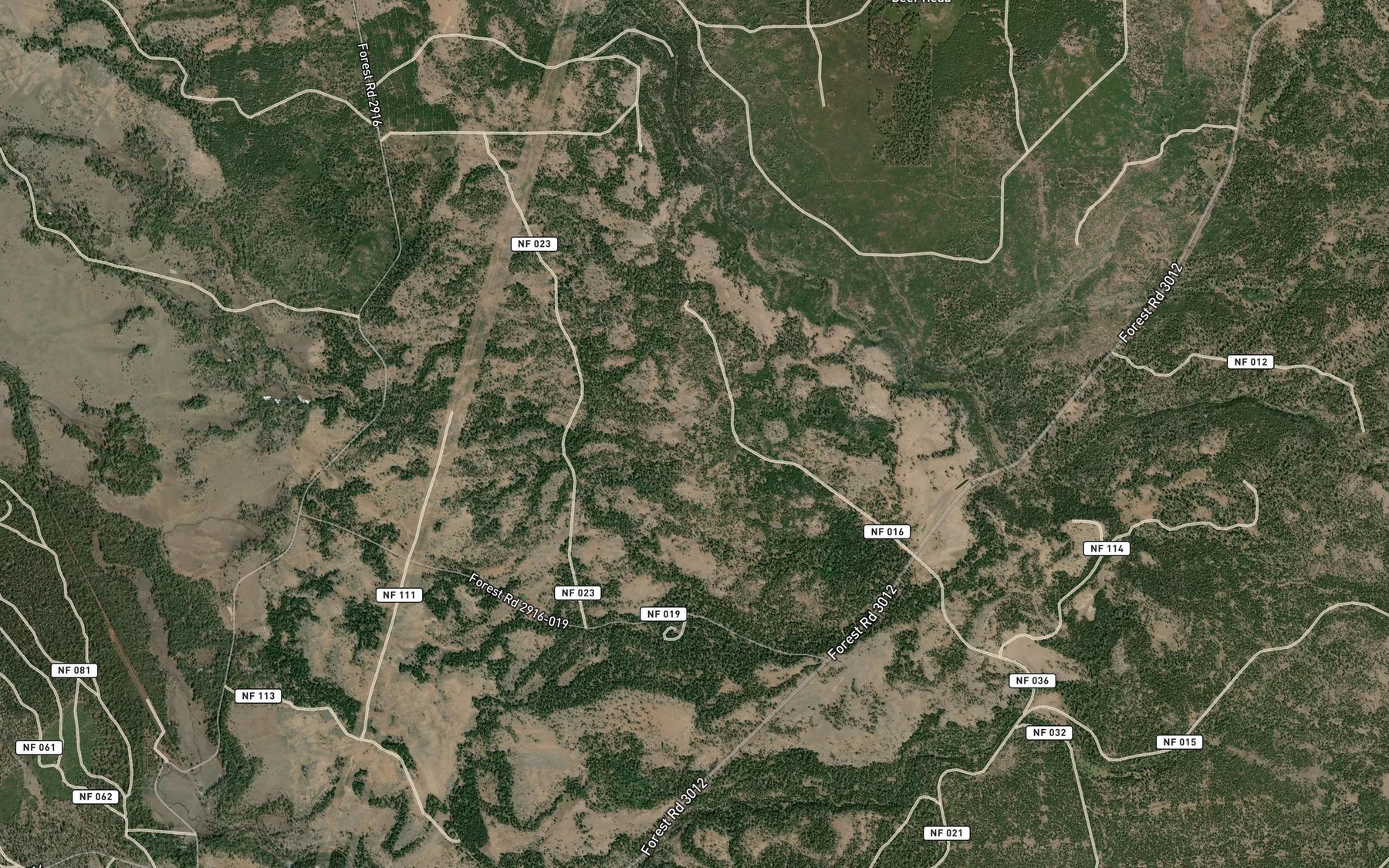 Satellite map of the McCall Spring