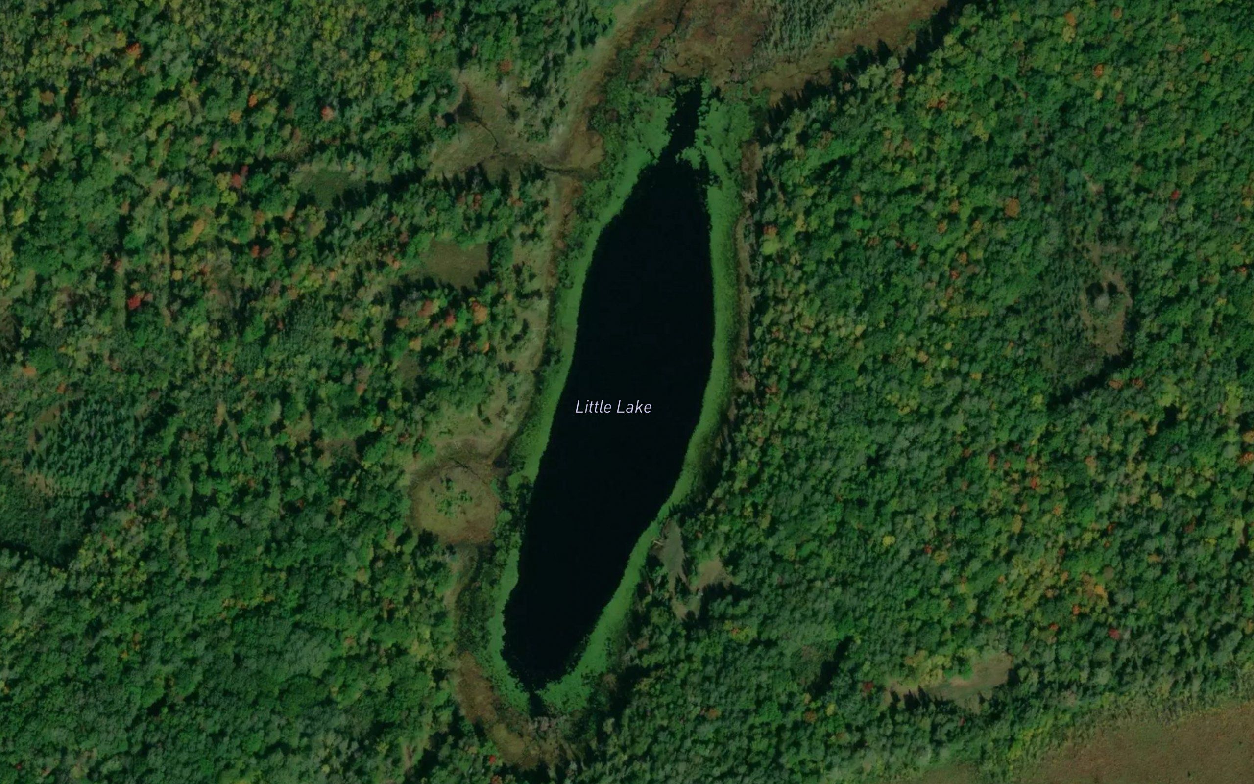 Little Lake
