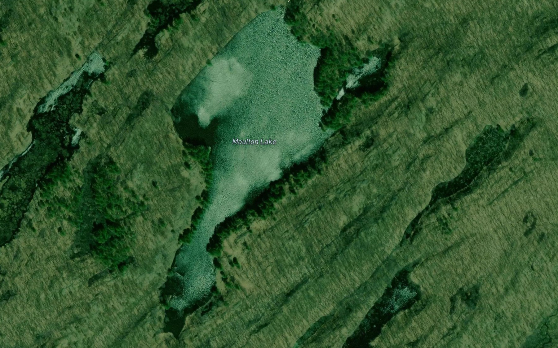 Satellite map of the Moulton Lake