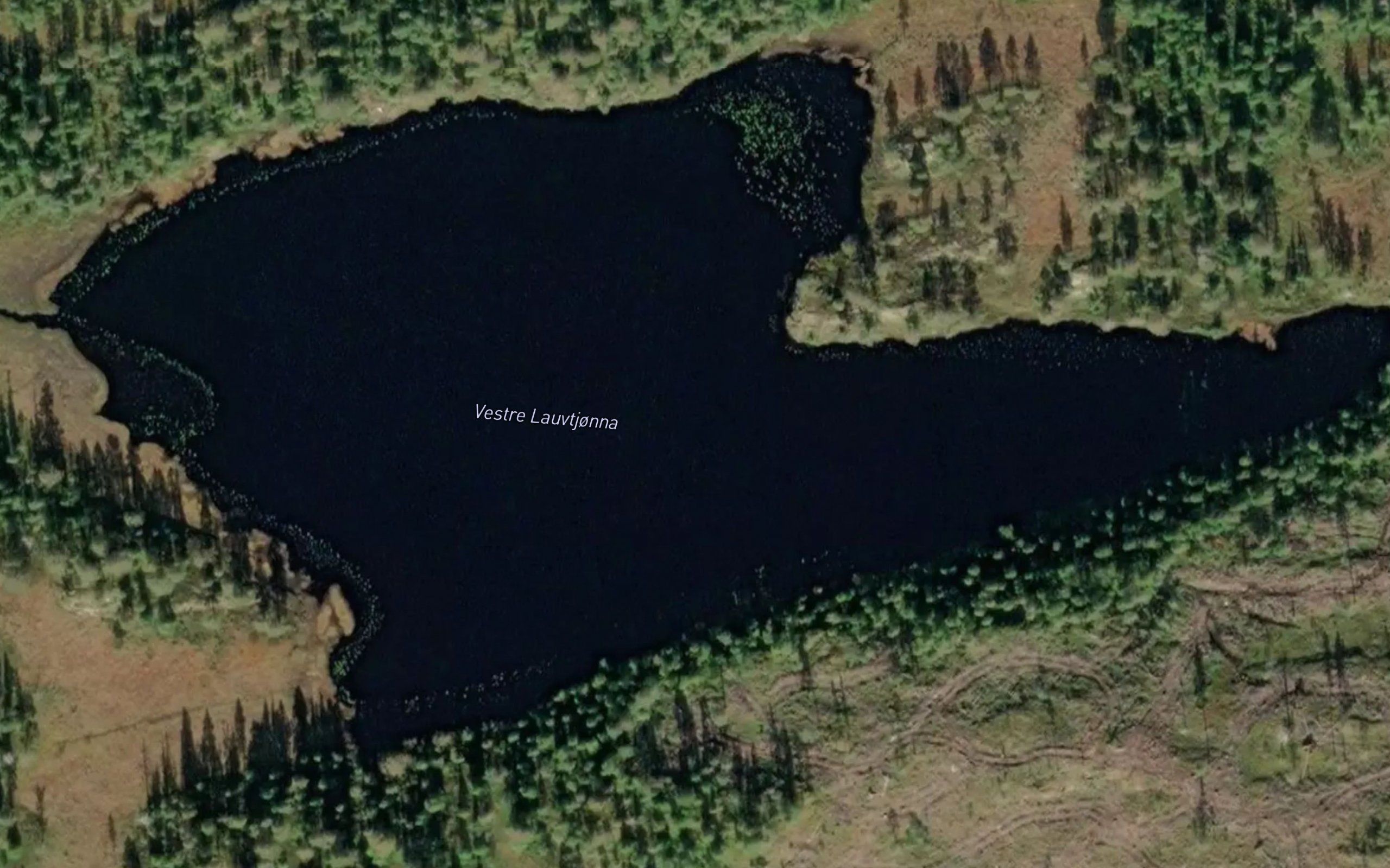 Lauvtjorna,yt