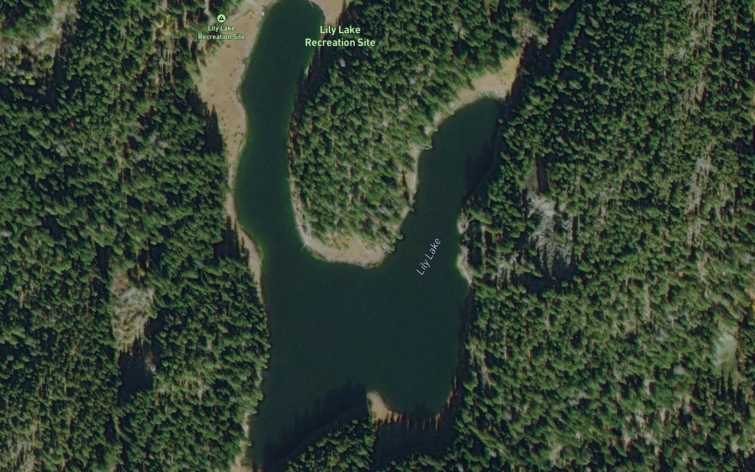 Lily Lake