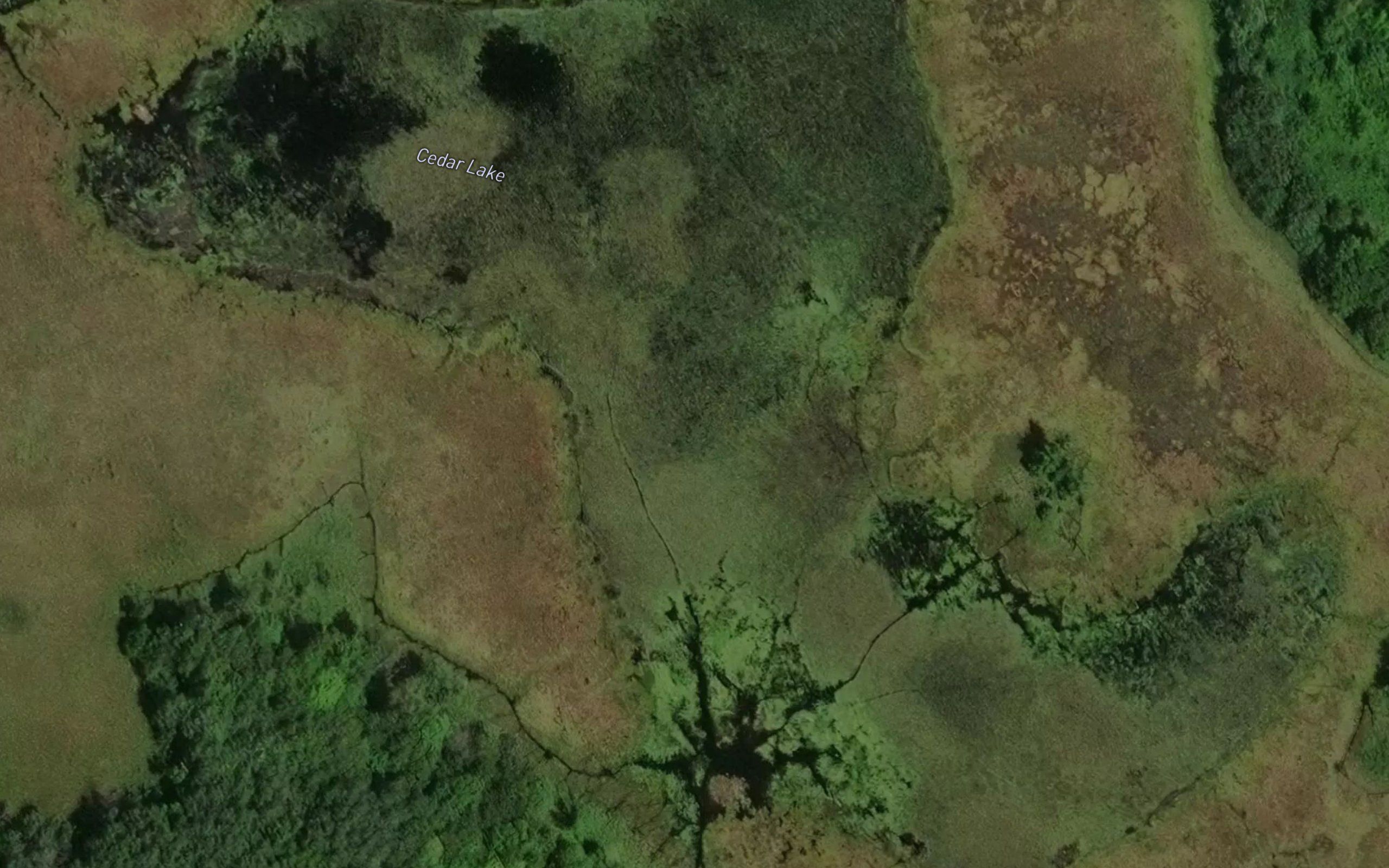 Cedar Lake
