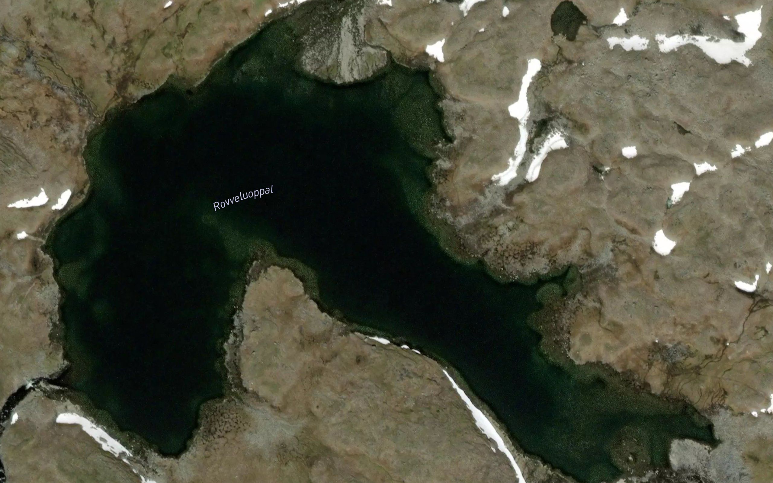 Rovveluoppal