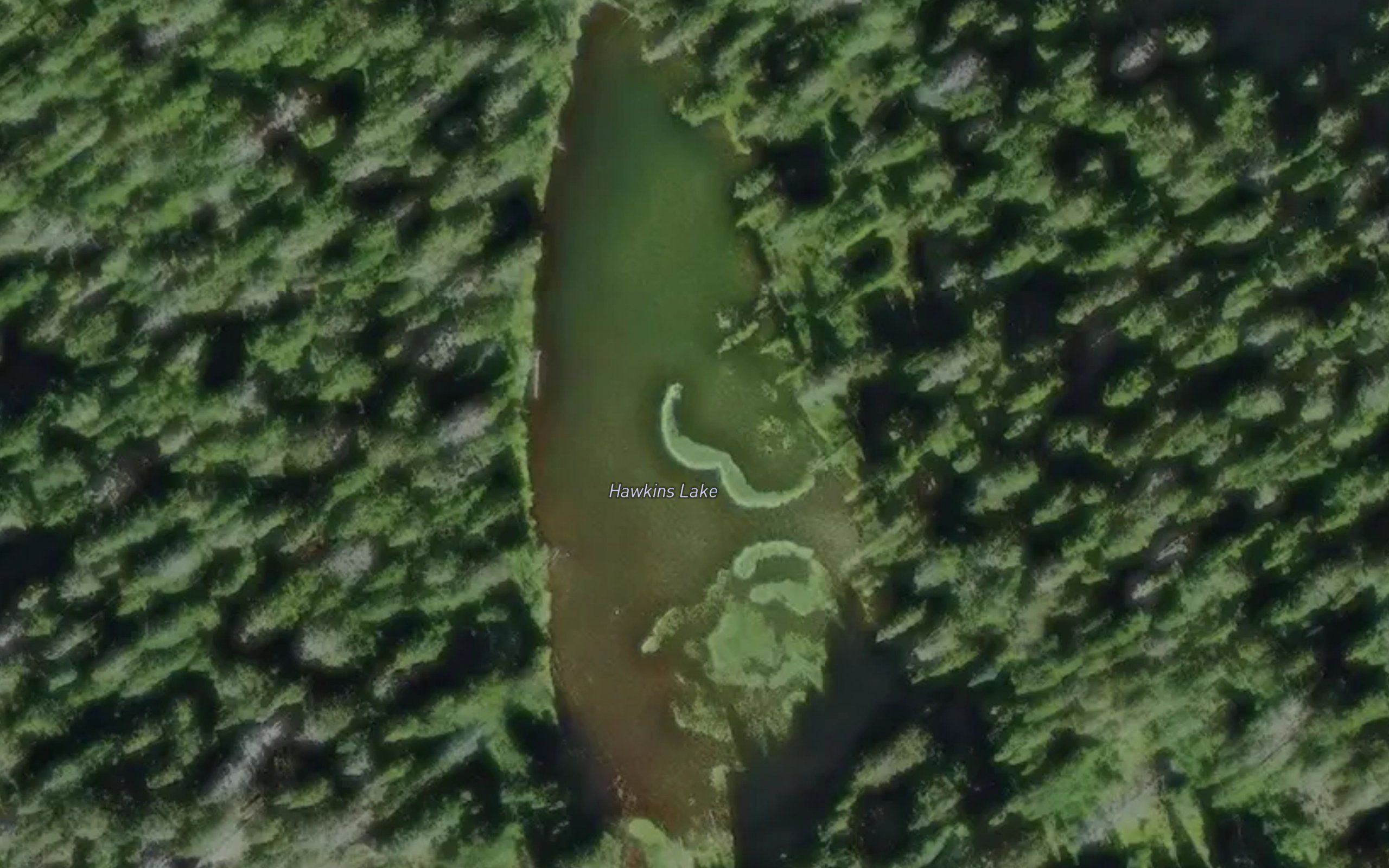 Hawkins Lake