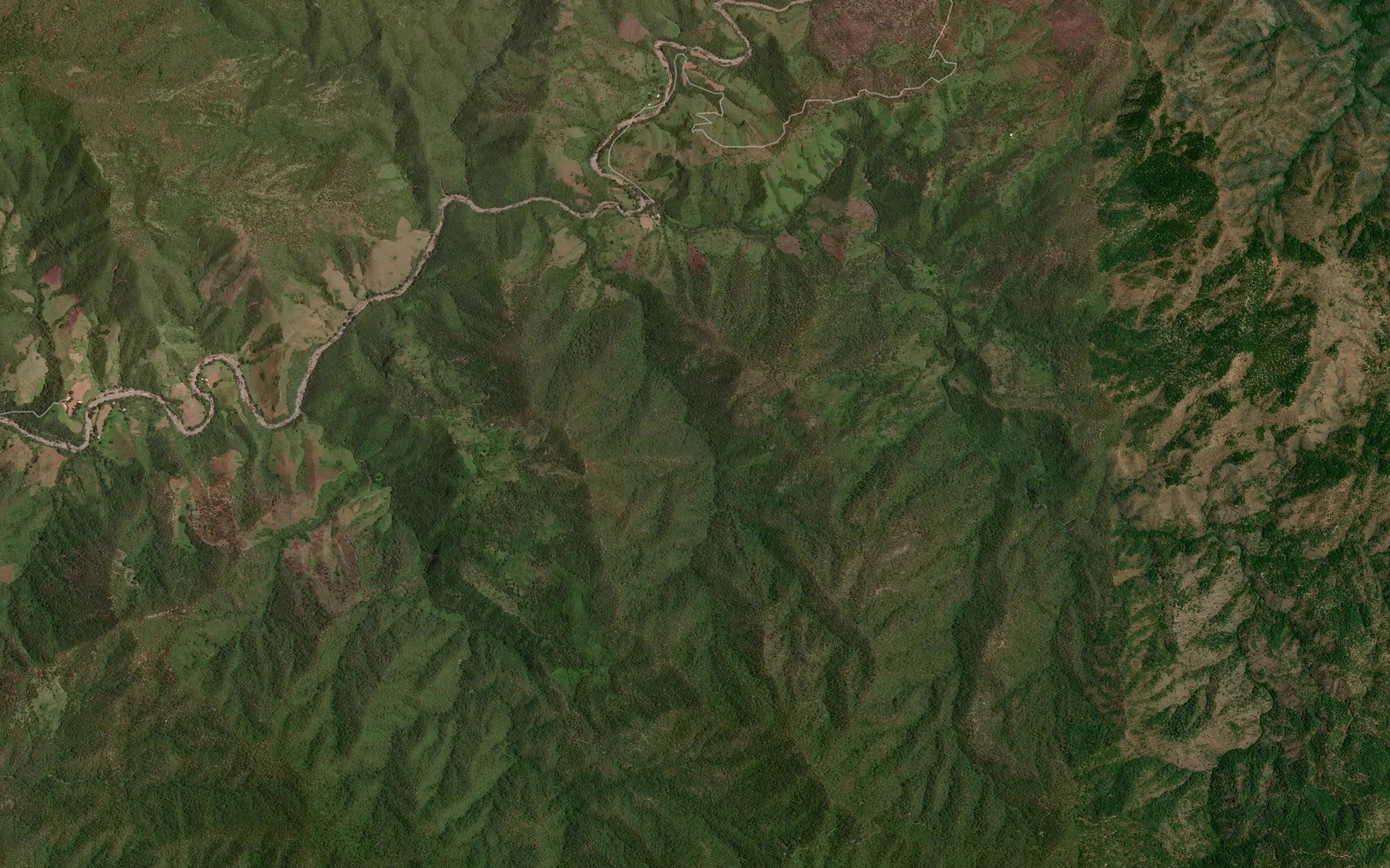 La Paloma