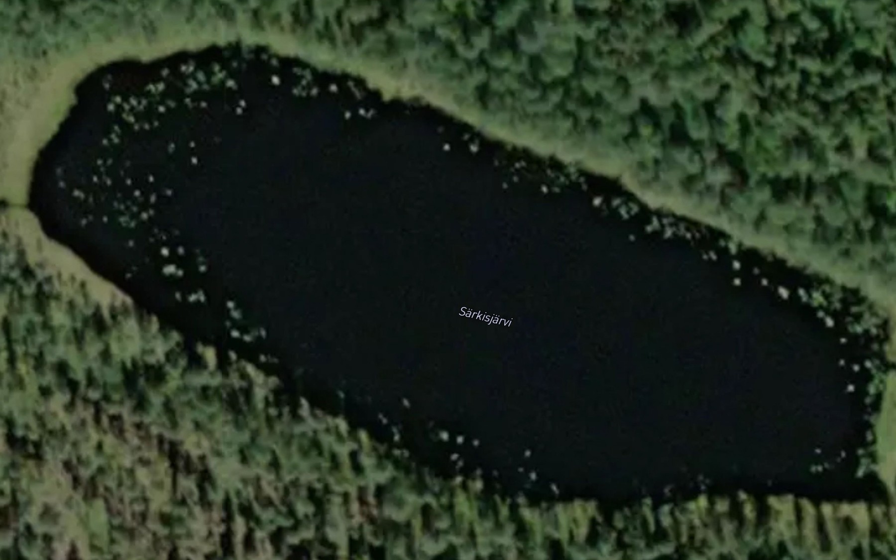 Satellite map of the Sarkisjarvi