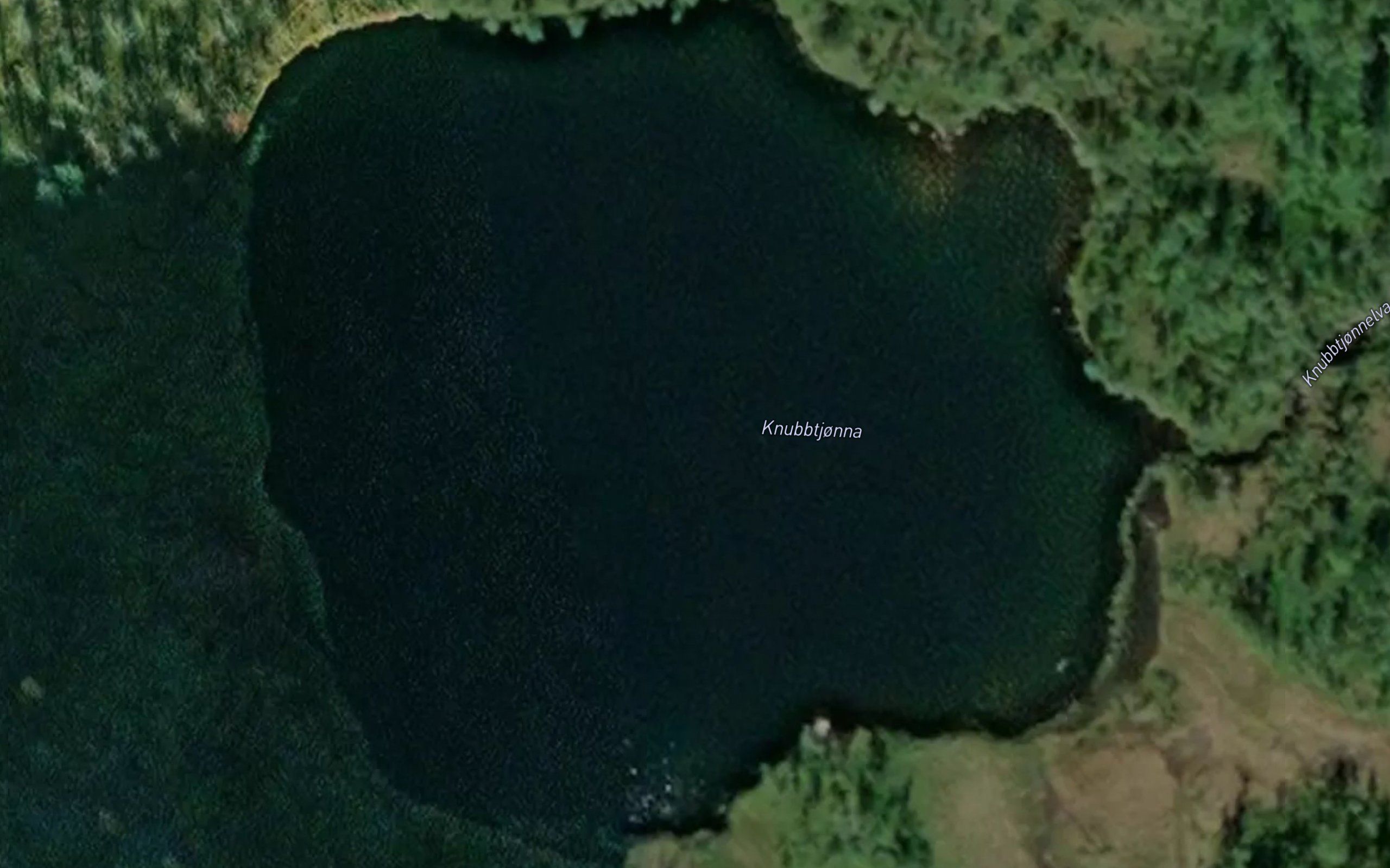 Knubbtjorna