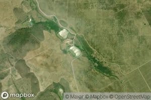 Pimentel