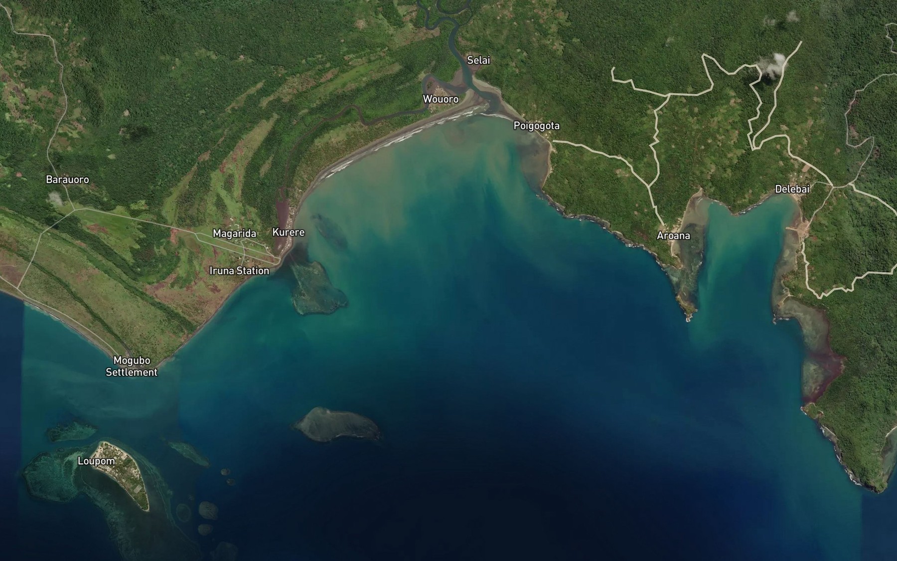 Satellite map of the Amazon Bay