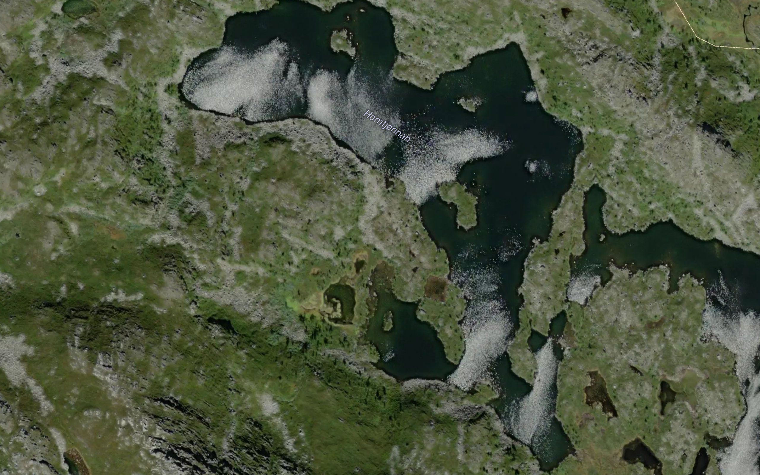 Homtjornan