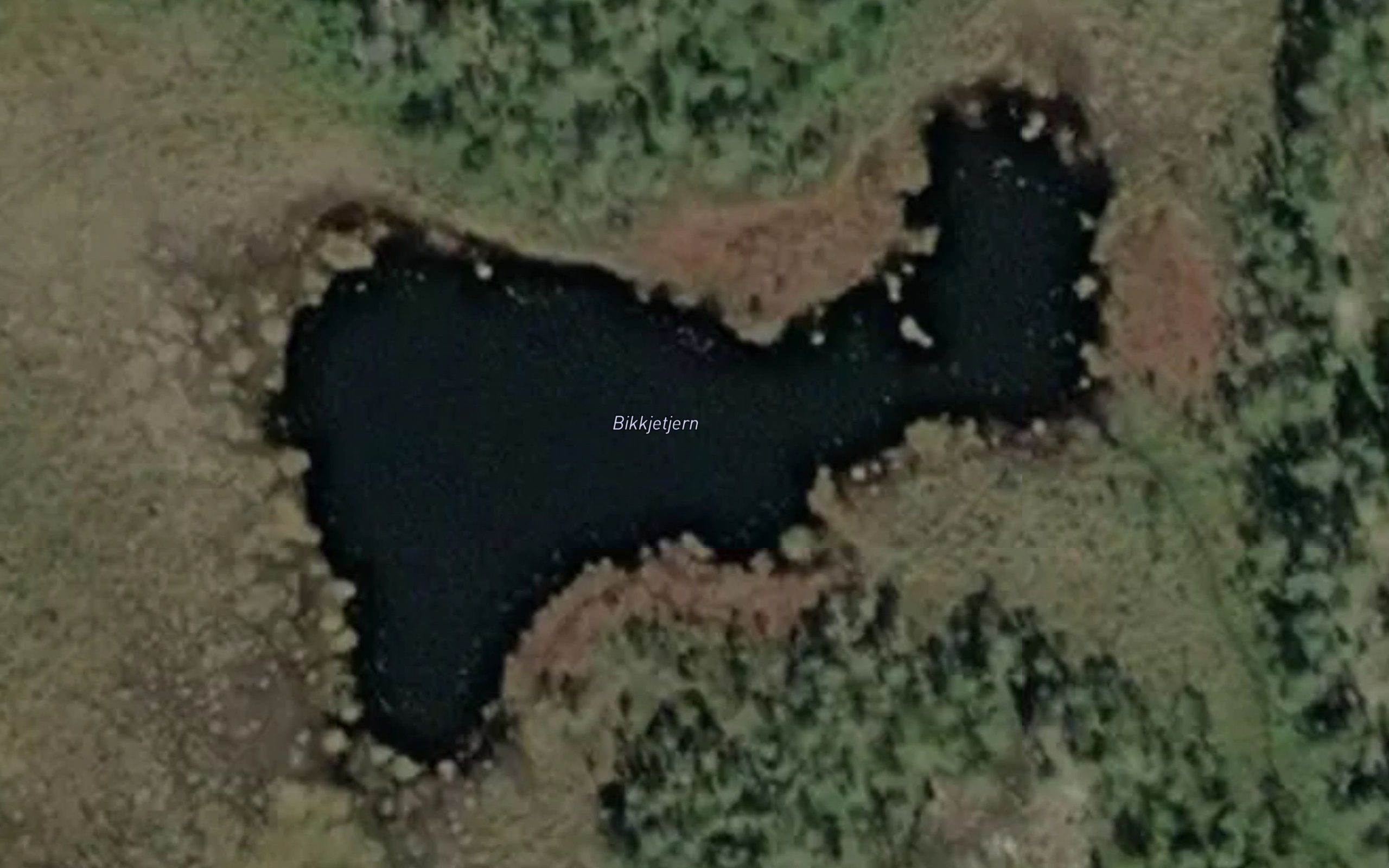 Bikkjetjern