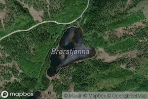 Brorstjorna