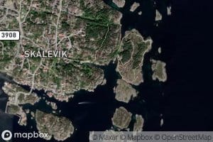 Skaleviga