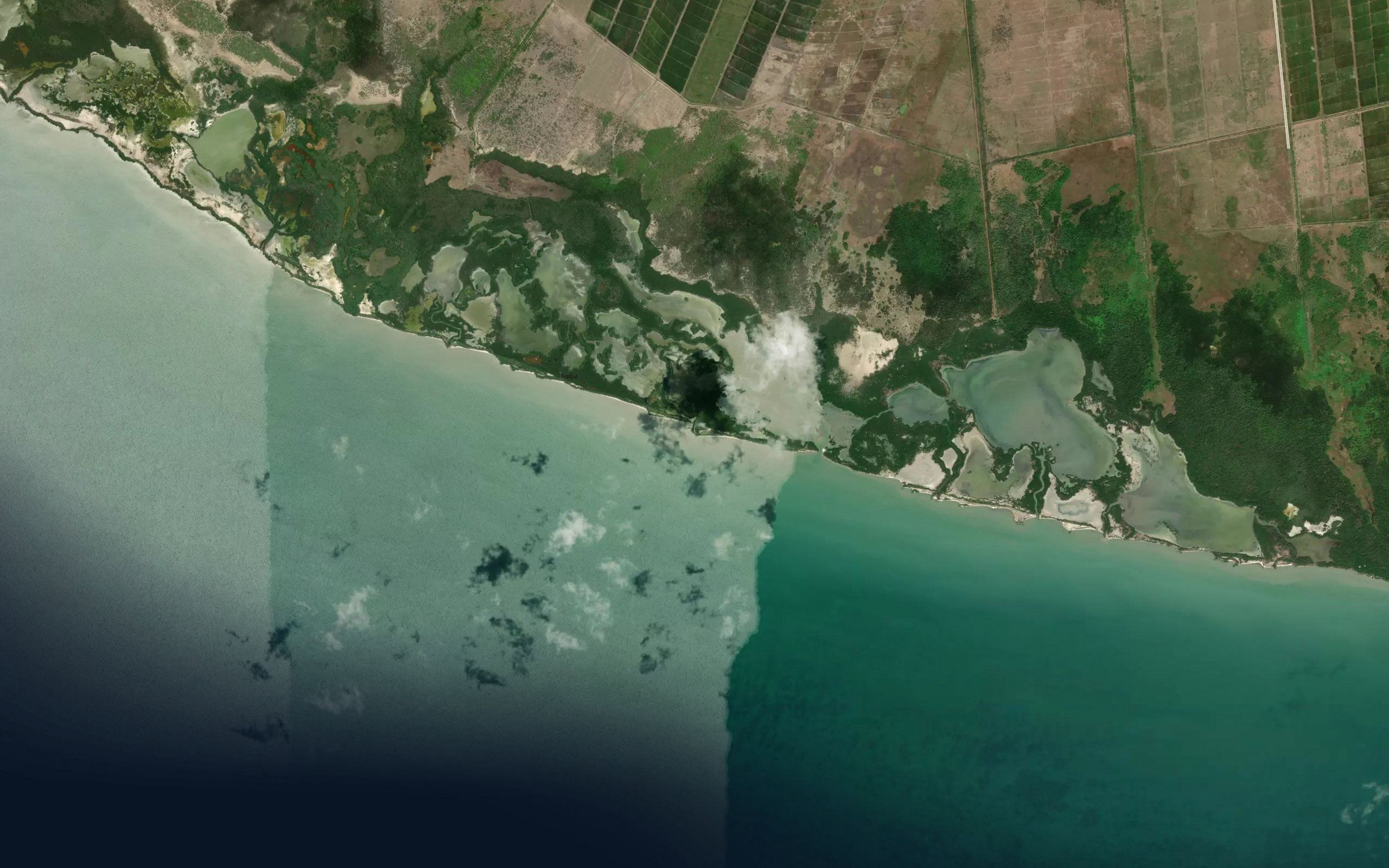Estero La Barquilla