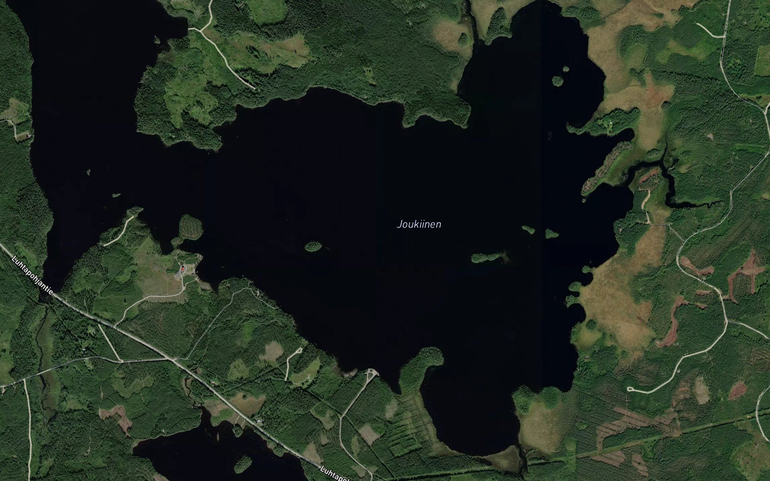 Joukiinen