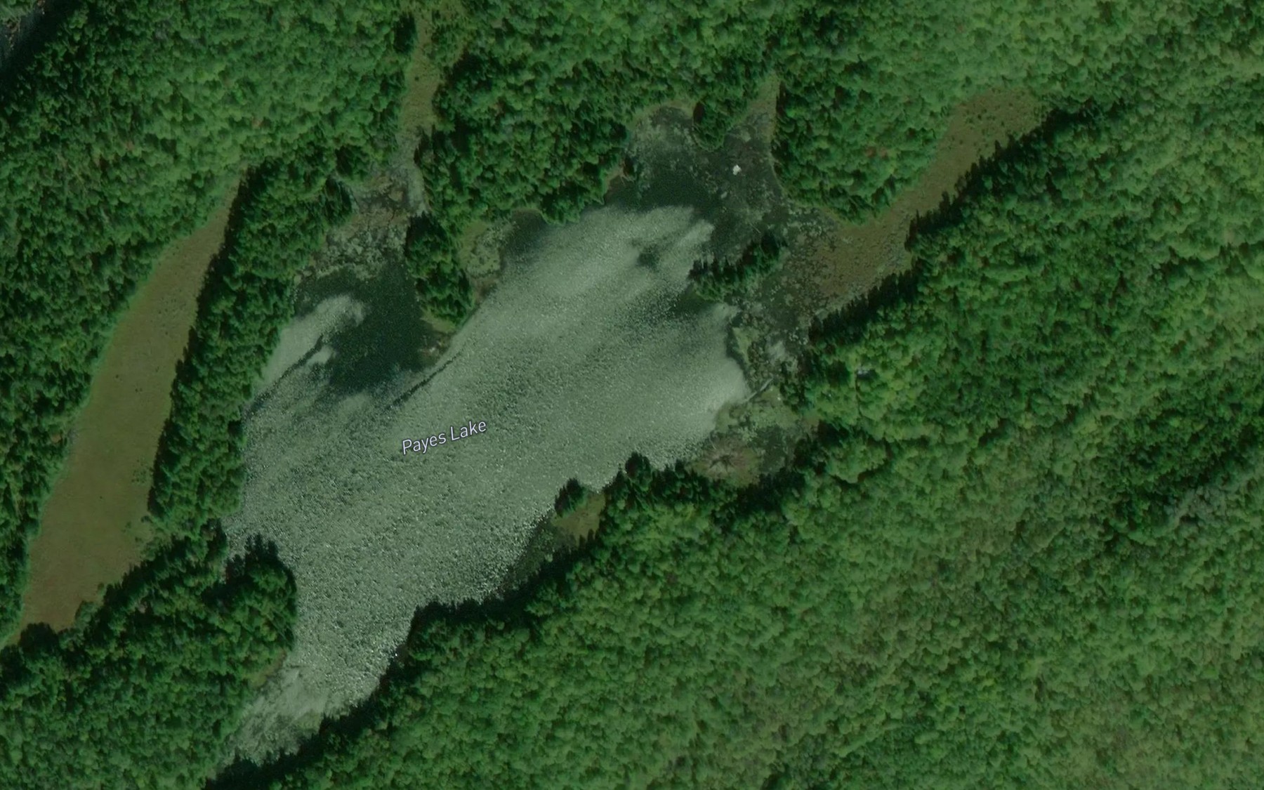 Satellite map of the Payes Lake