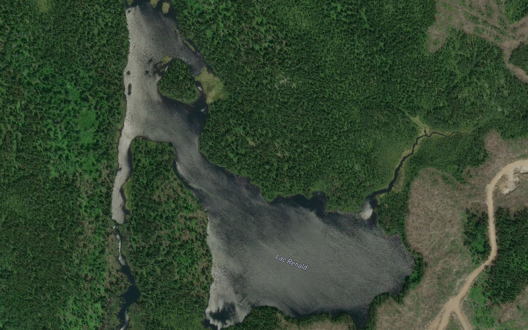 Satellite map of the Lac Renald