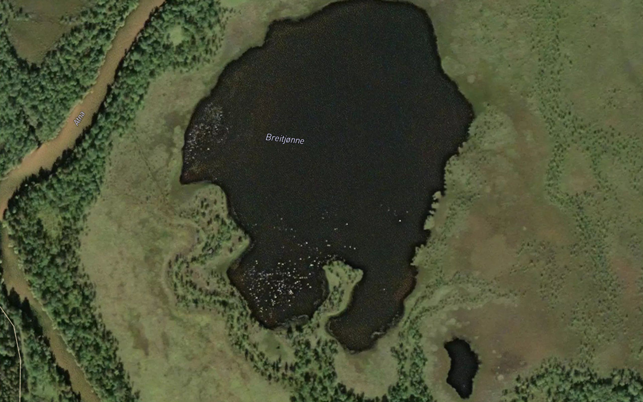 Breidtjorn