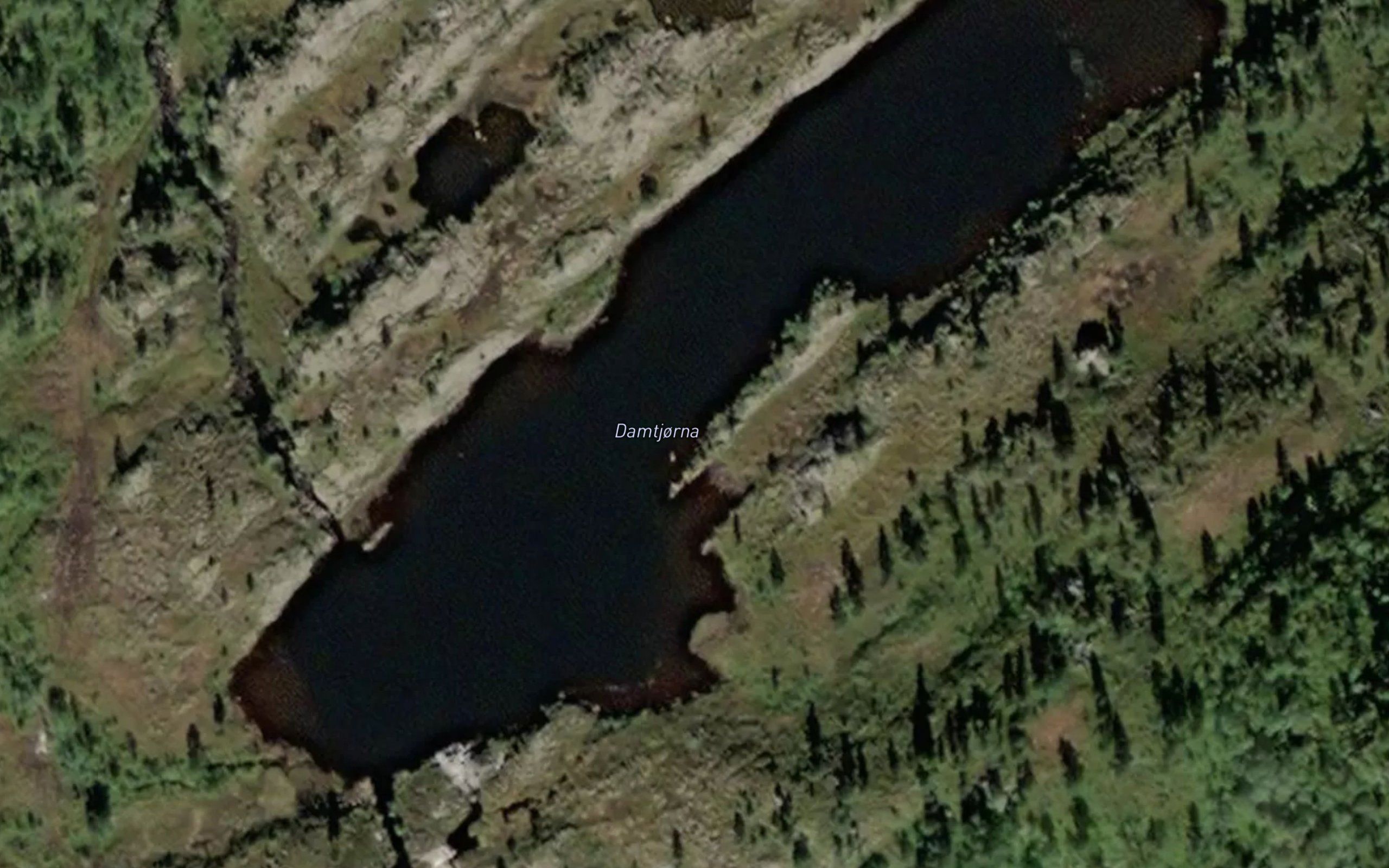 Damtjorna