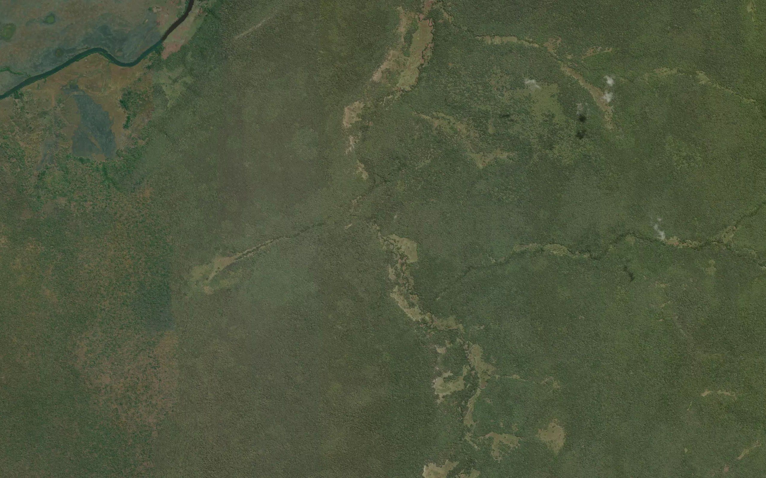 Kamangi