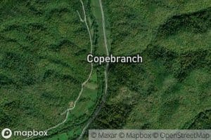Cope Branch