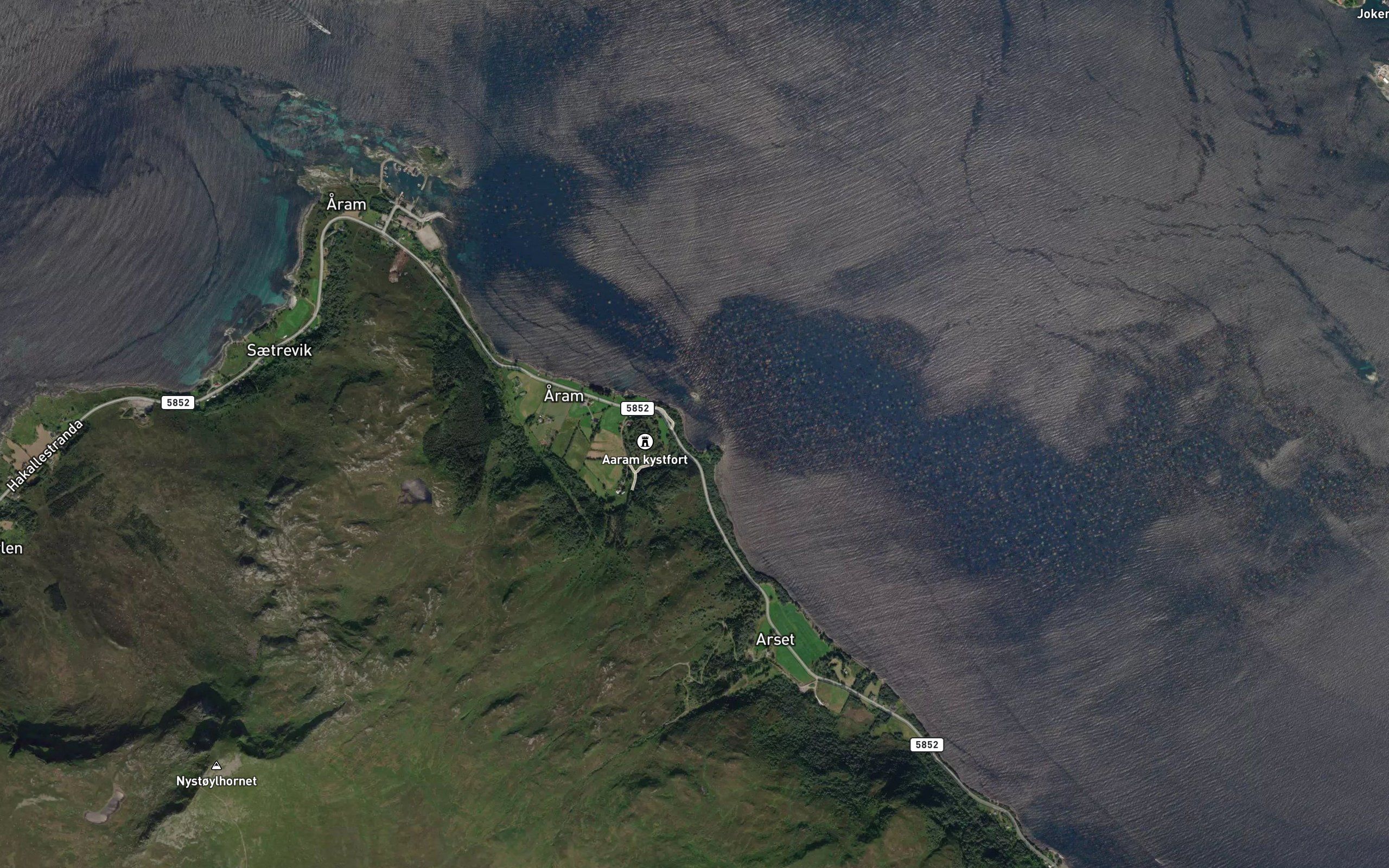 Espenesvika