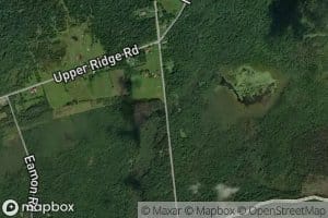 West Branch Squeak Brook