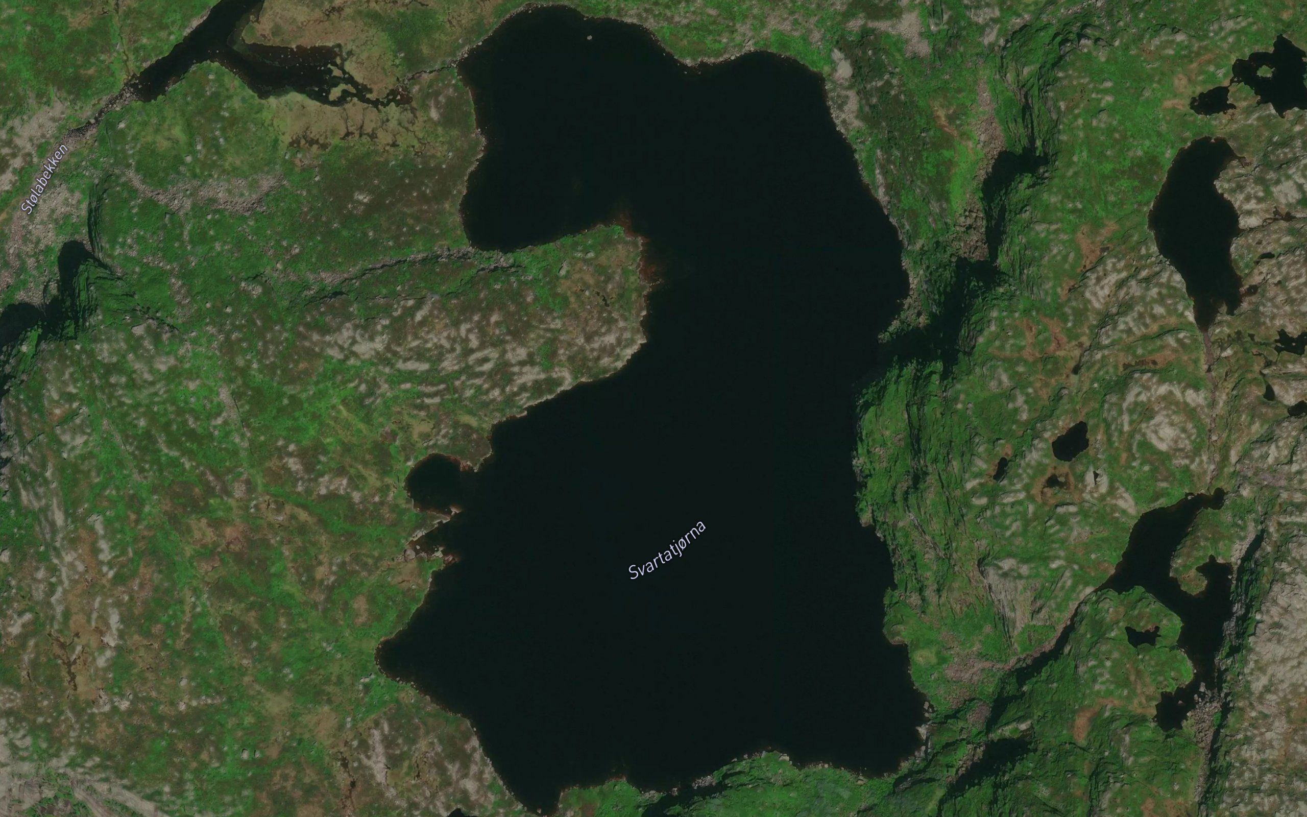 Svartavatnet