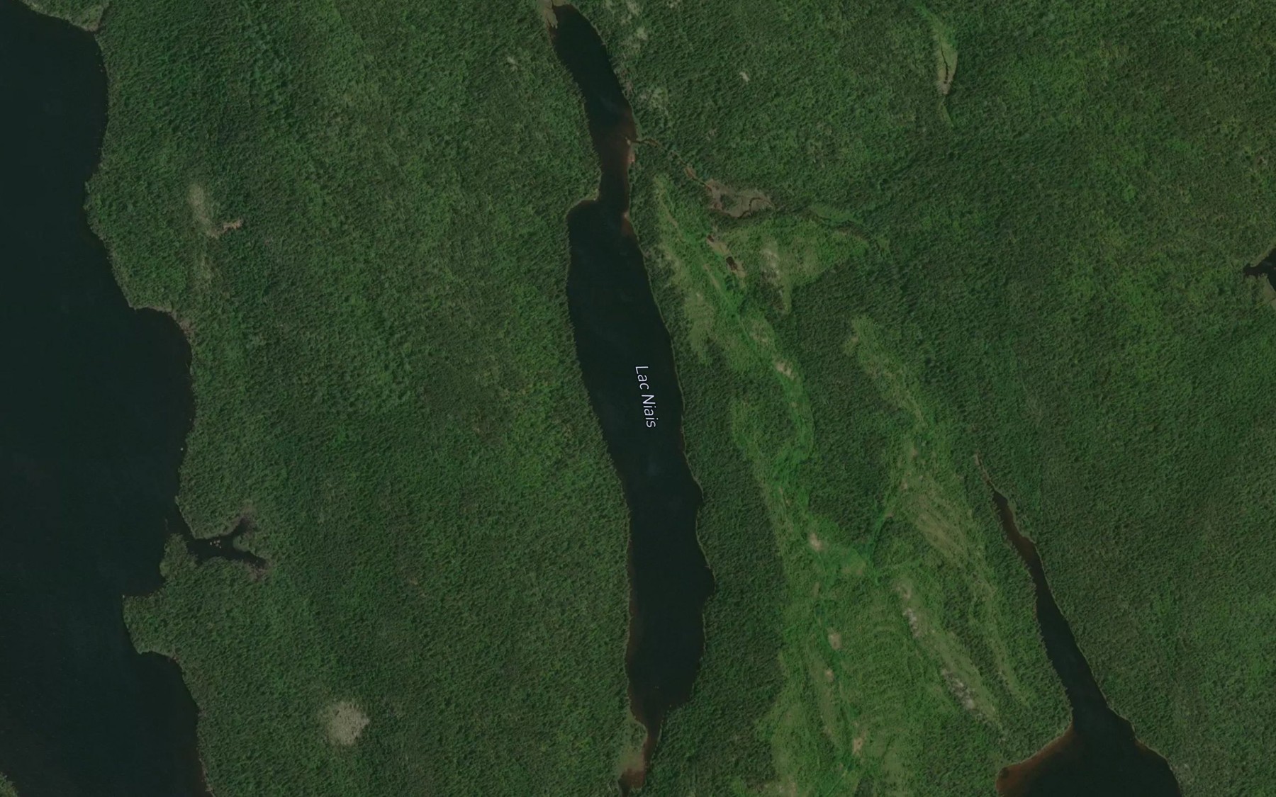 Satellite map of the Lac Niais
