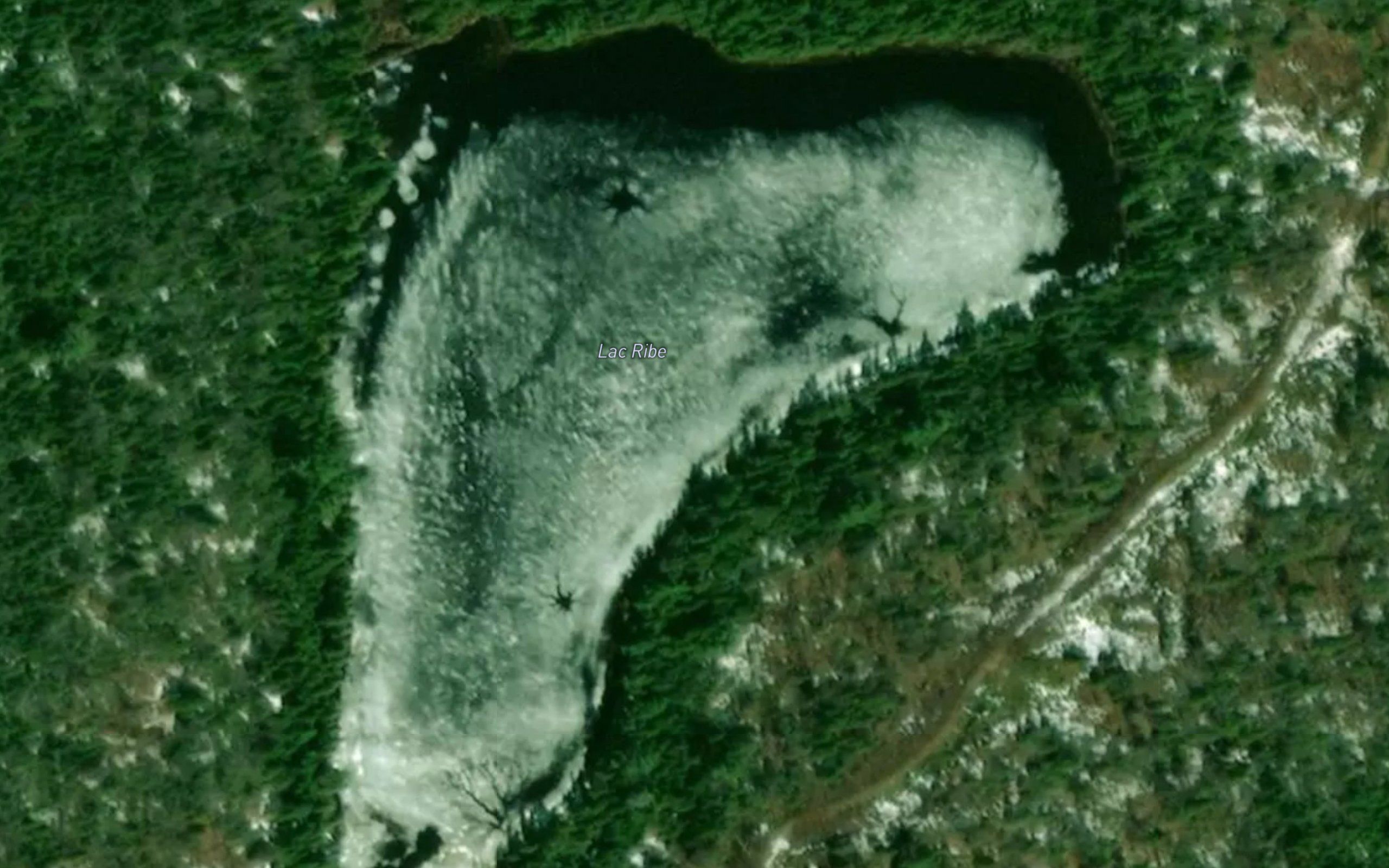 Lac Ribe