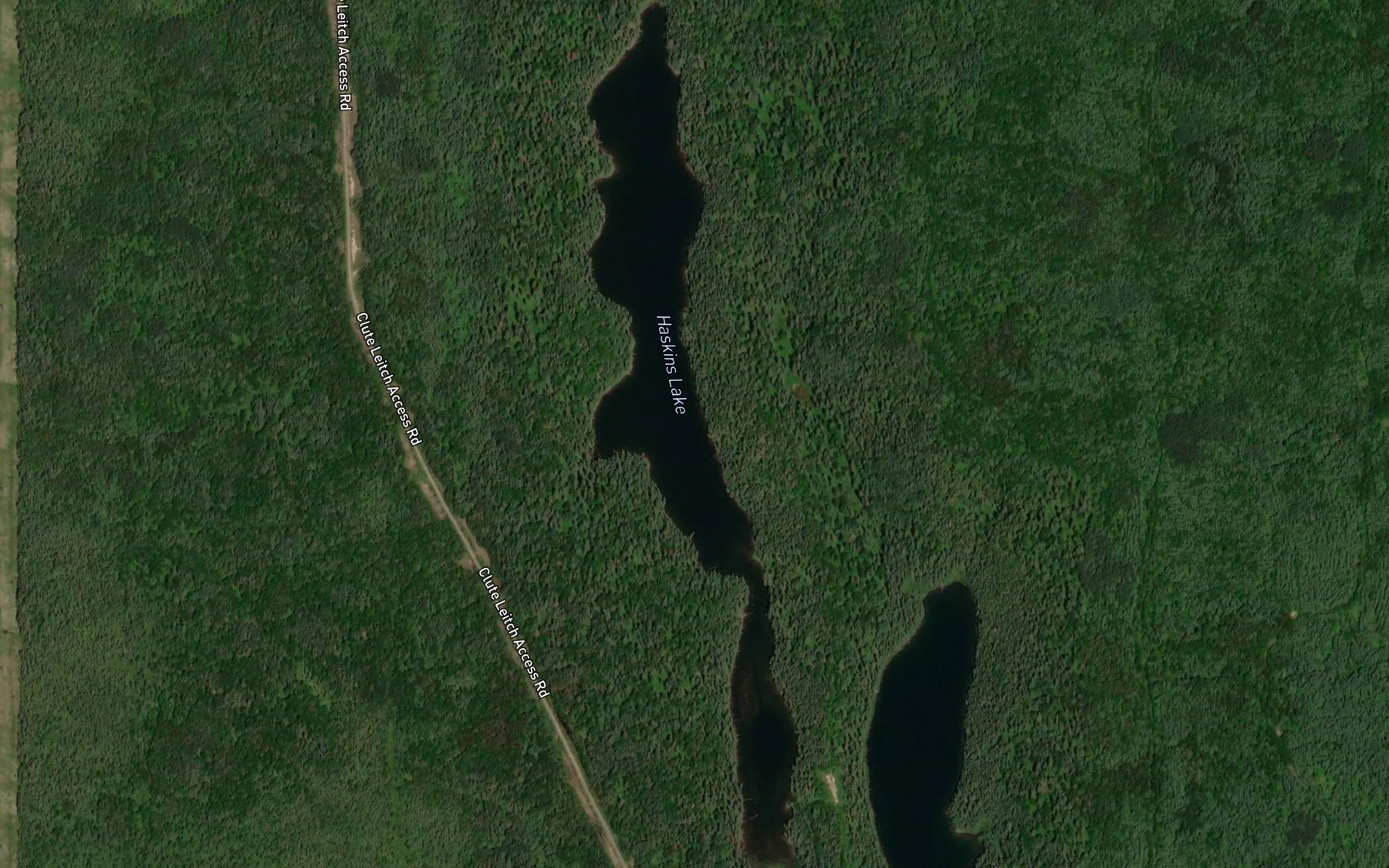 Satellite map of the Haskins Lake