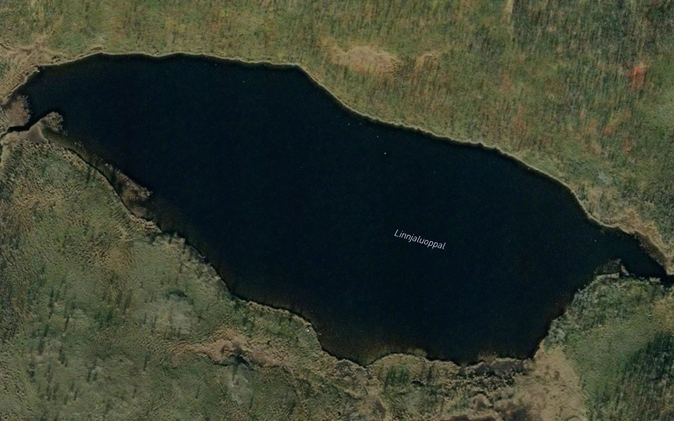 Linnjaluobbal