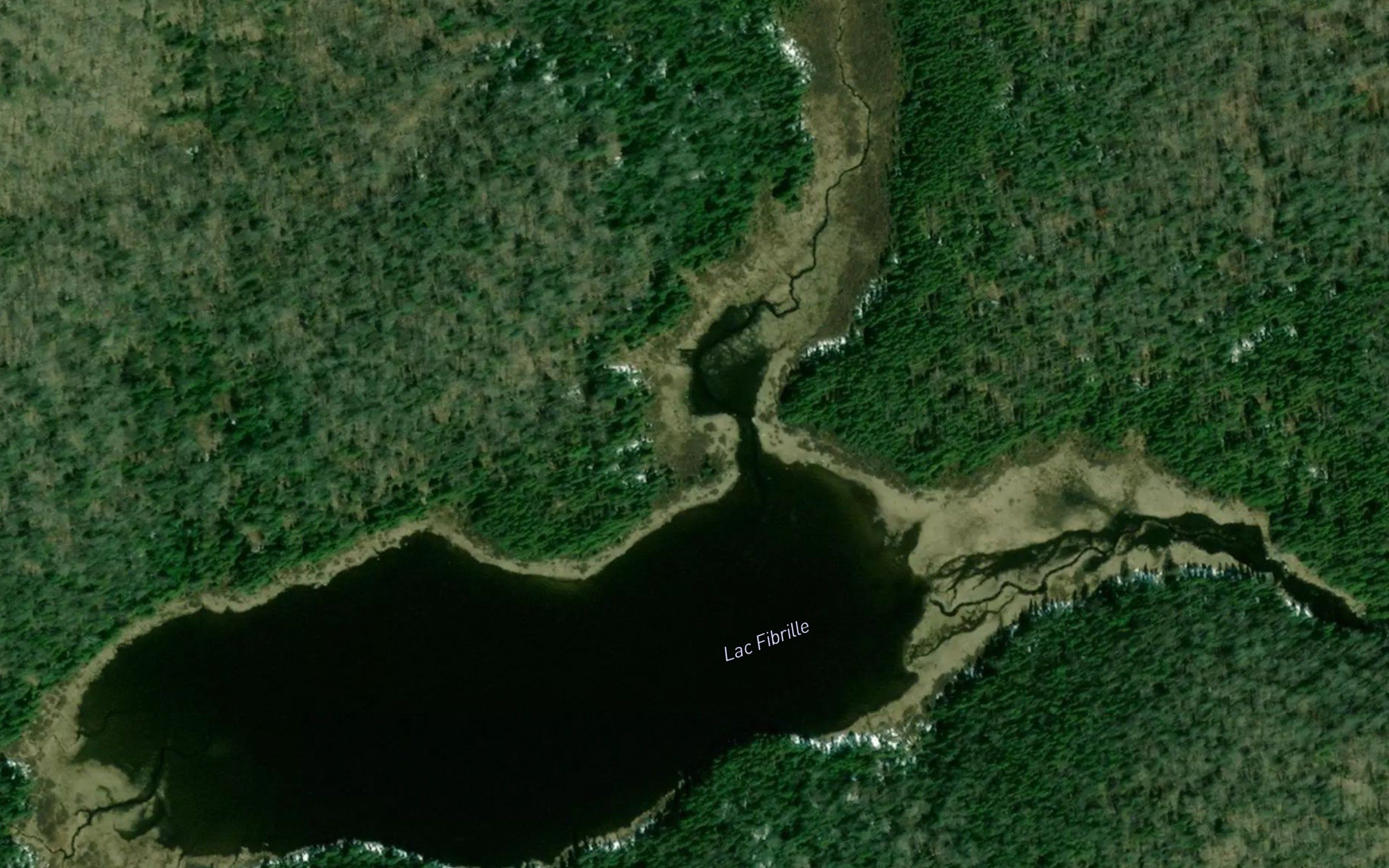 Lac Fibrille