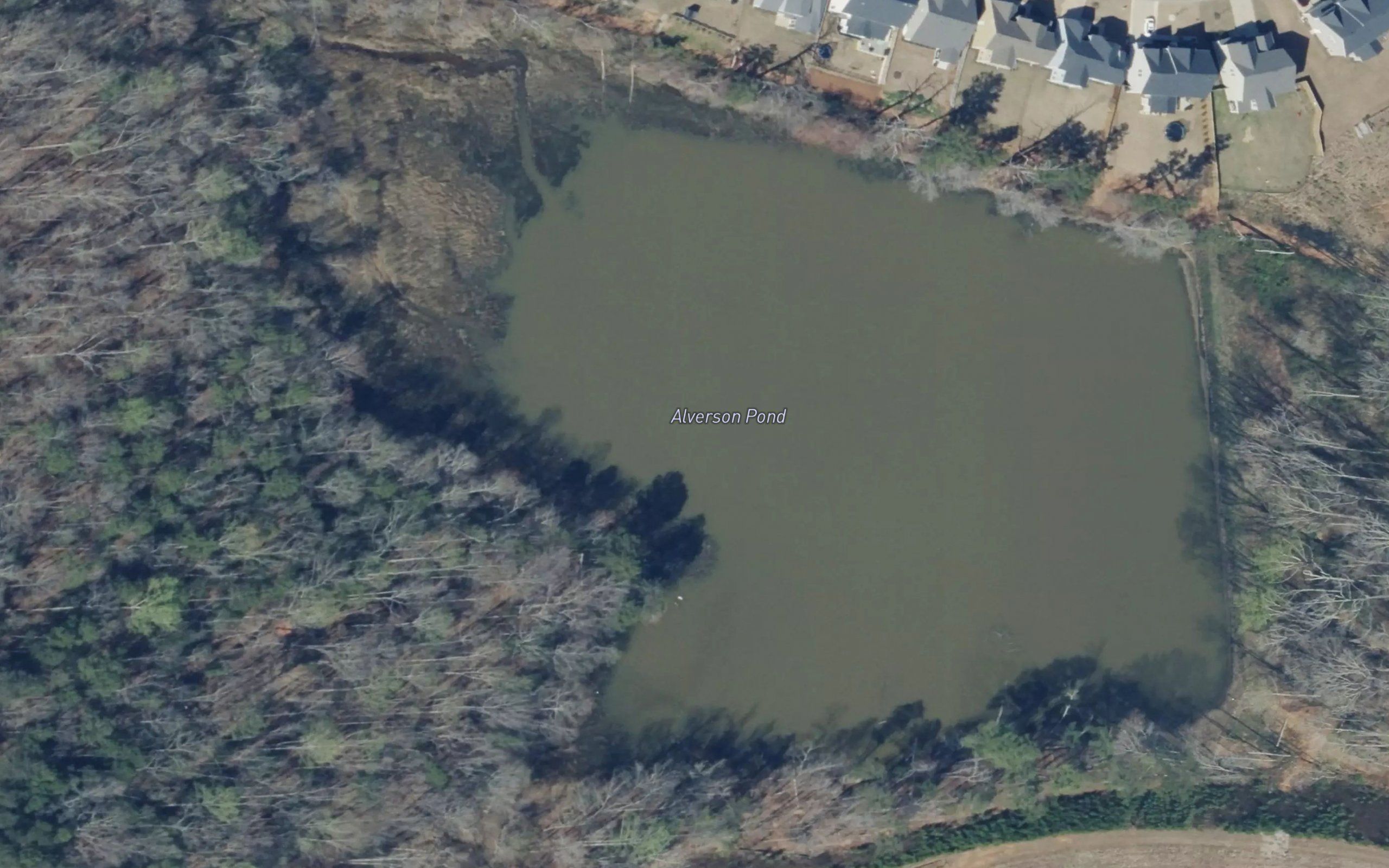 Alverson Pond