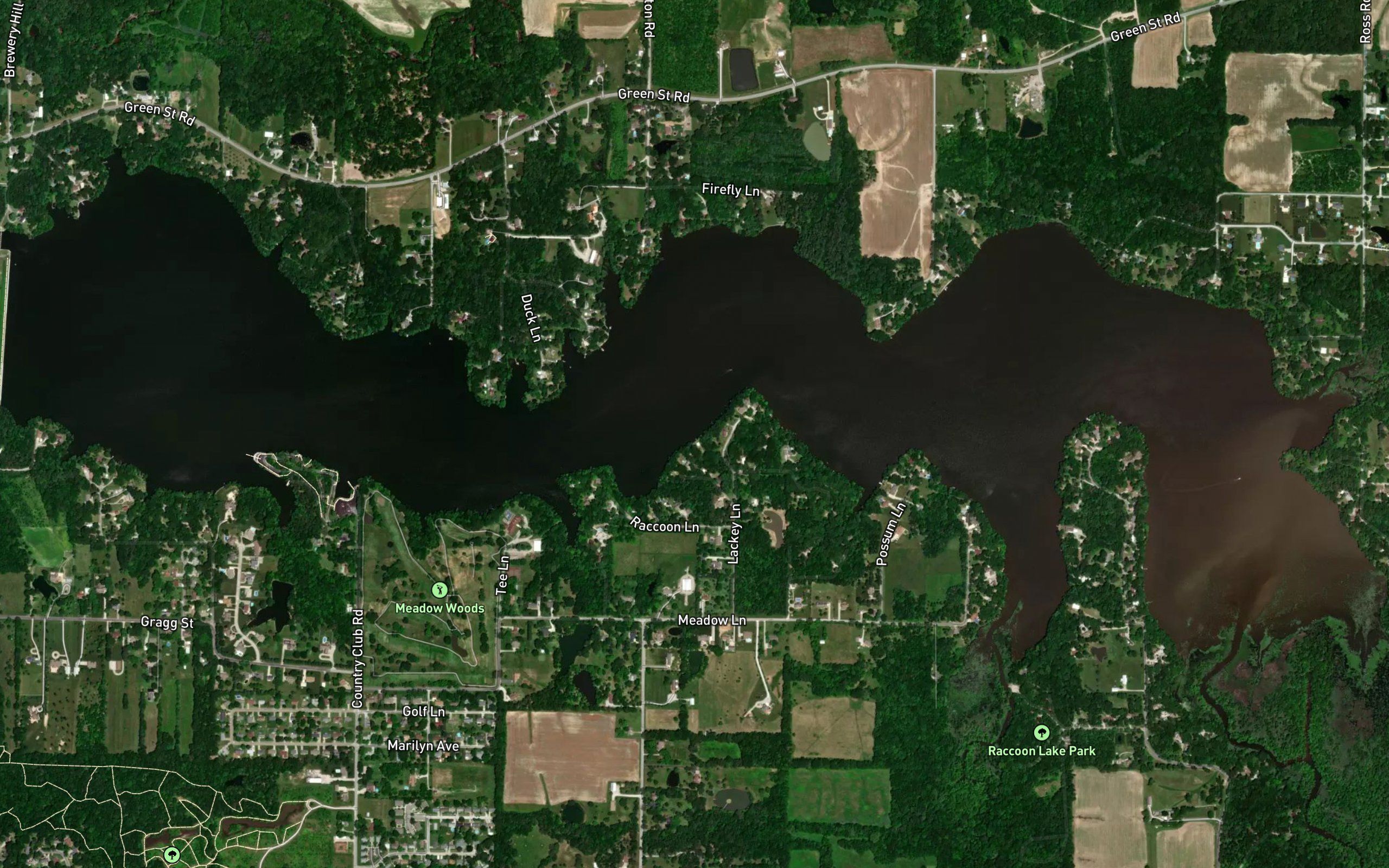 Raccoon Lake