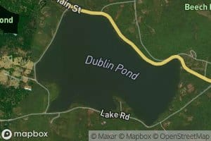 Dublin Pond