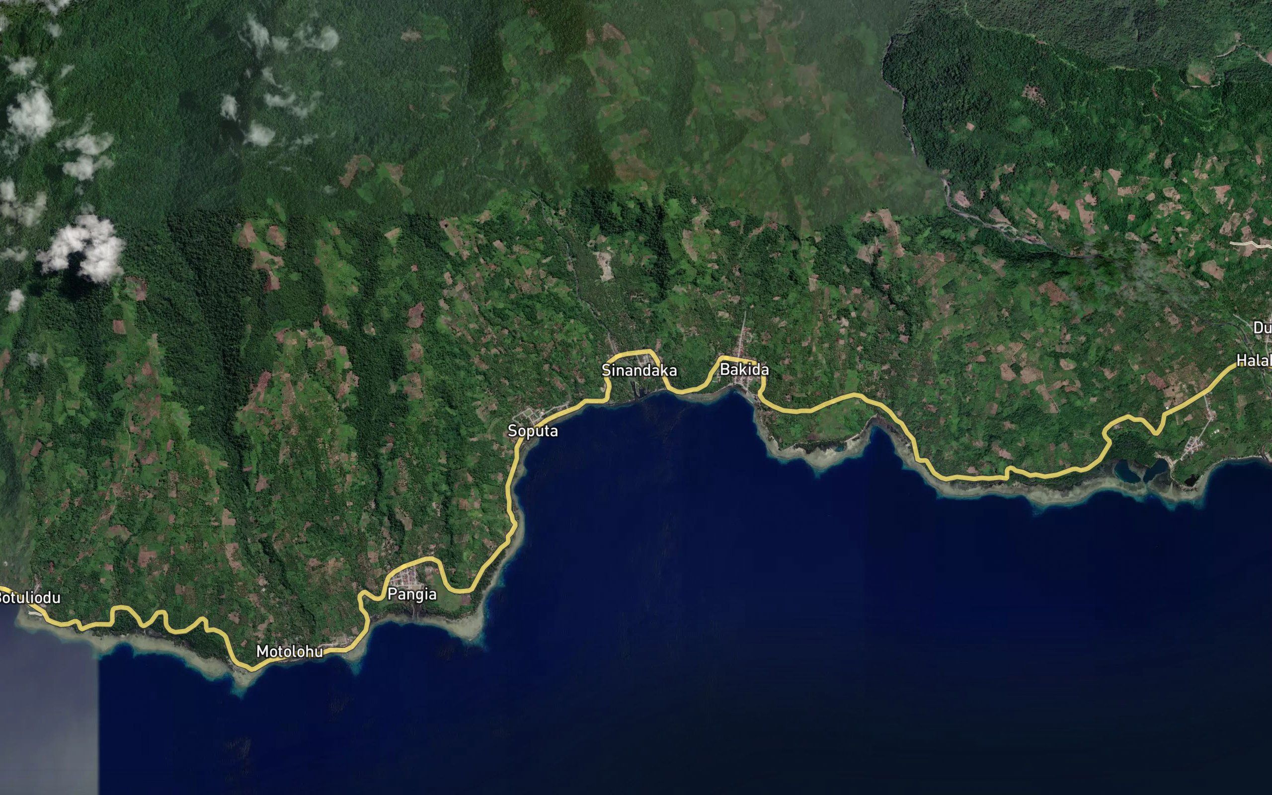 Dutula Dominanga