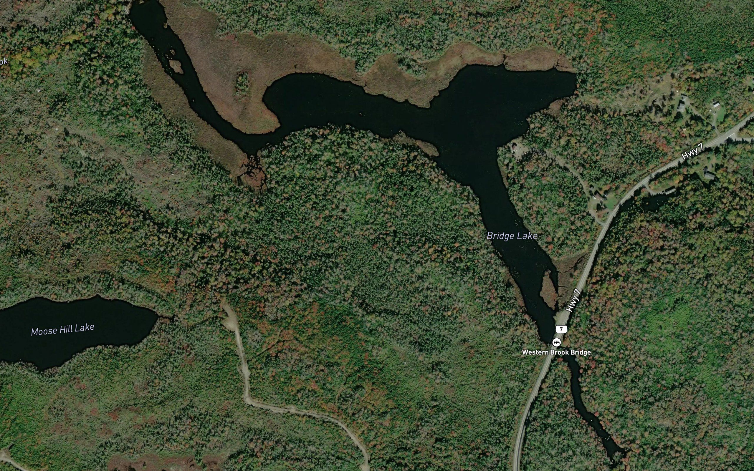 Bridge Lake