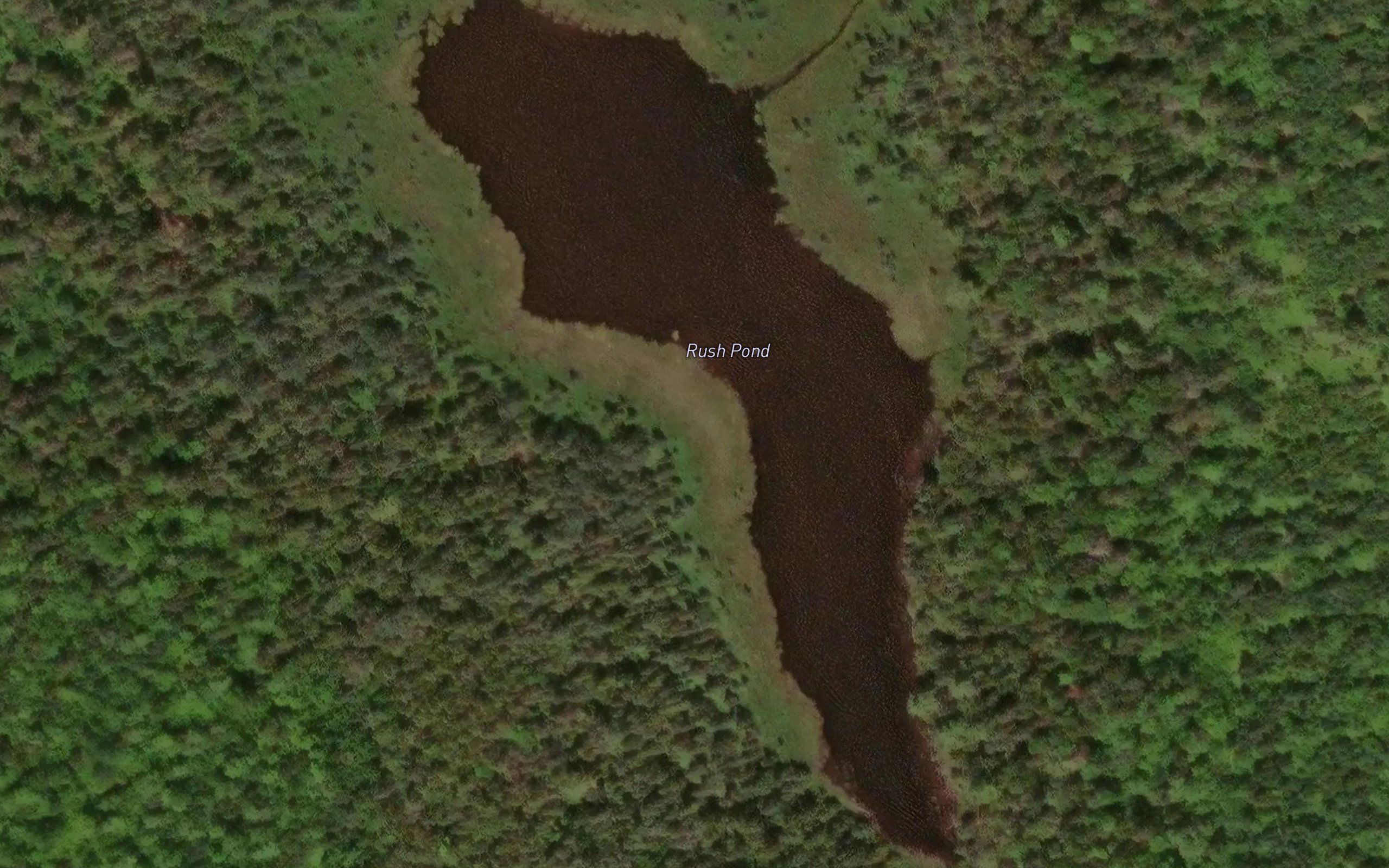 Rush Pond
