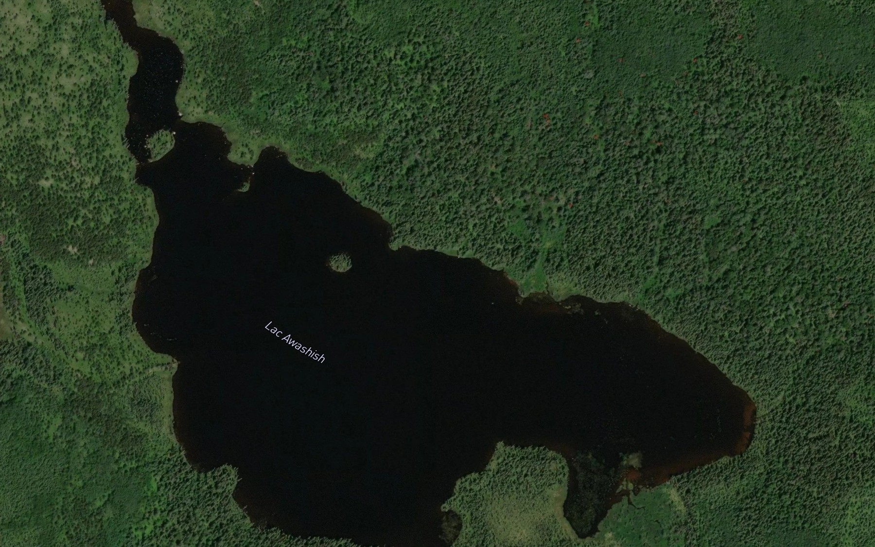 Satellite map of the Lac Awashish