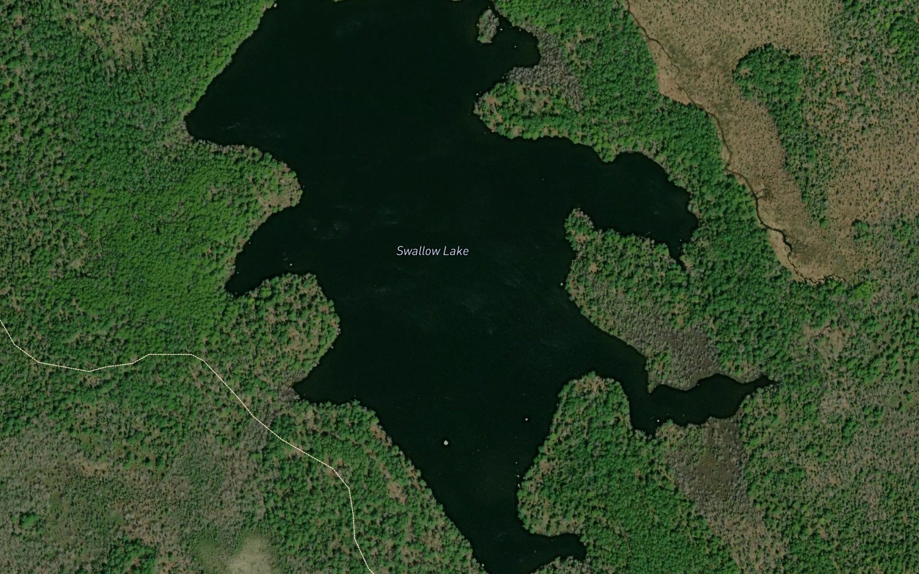 Satellite map of the Swallow Lake